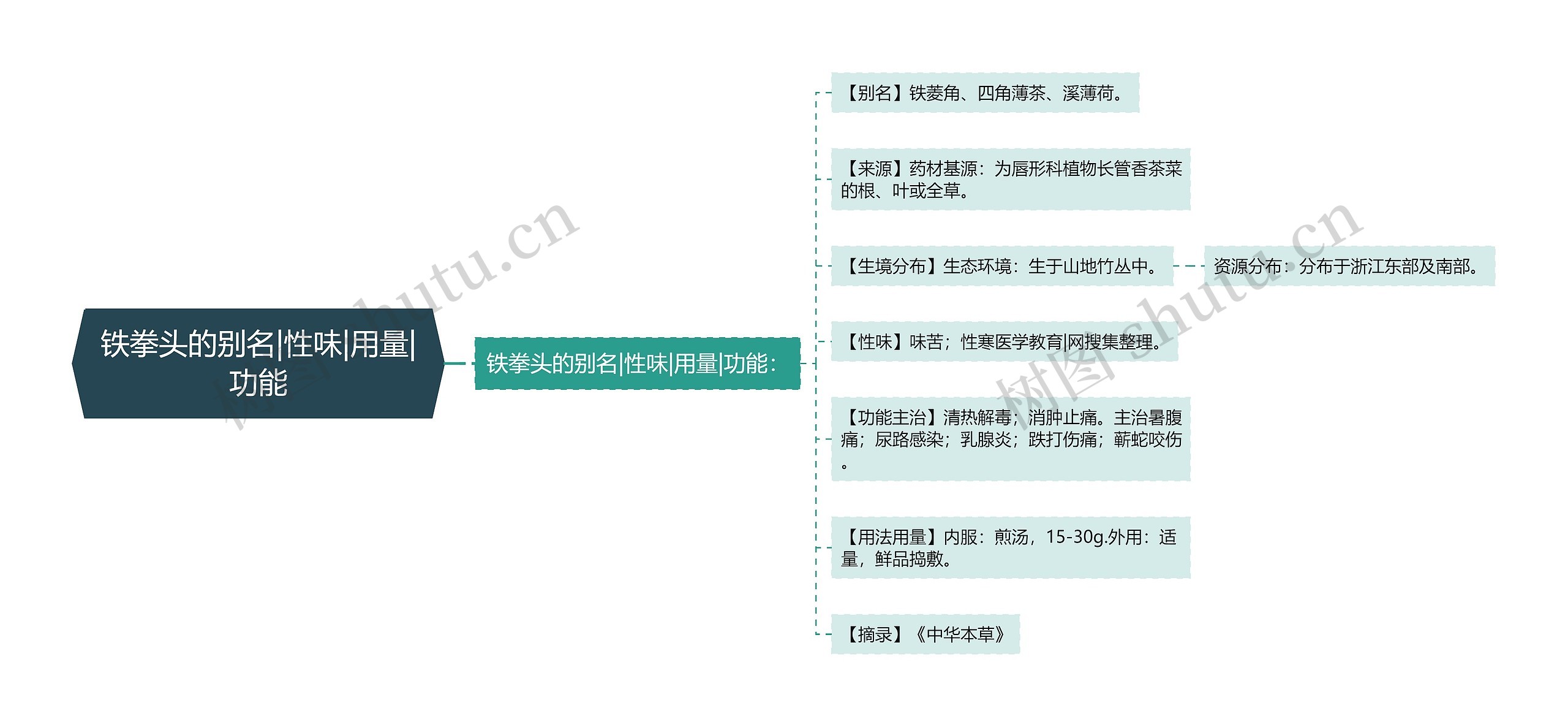 铁拳头的别名|性味|用量|功能思维导图