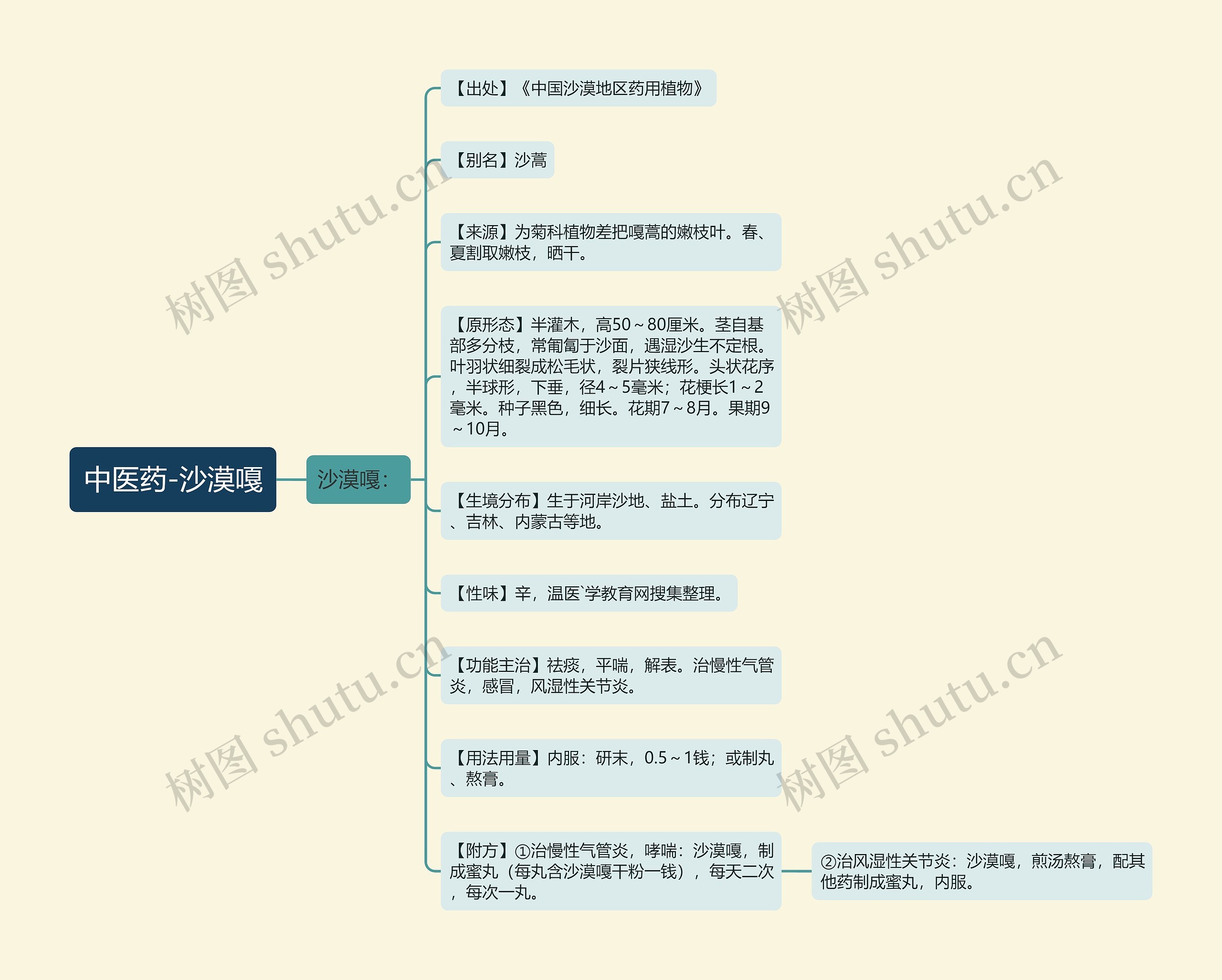 中医药-沙漠嘎思维导图