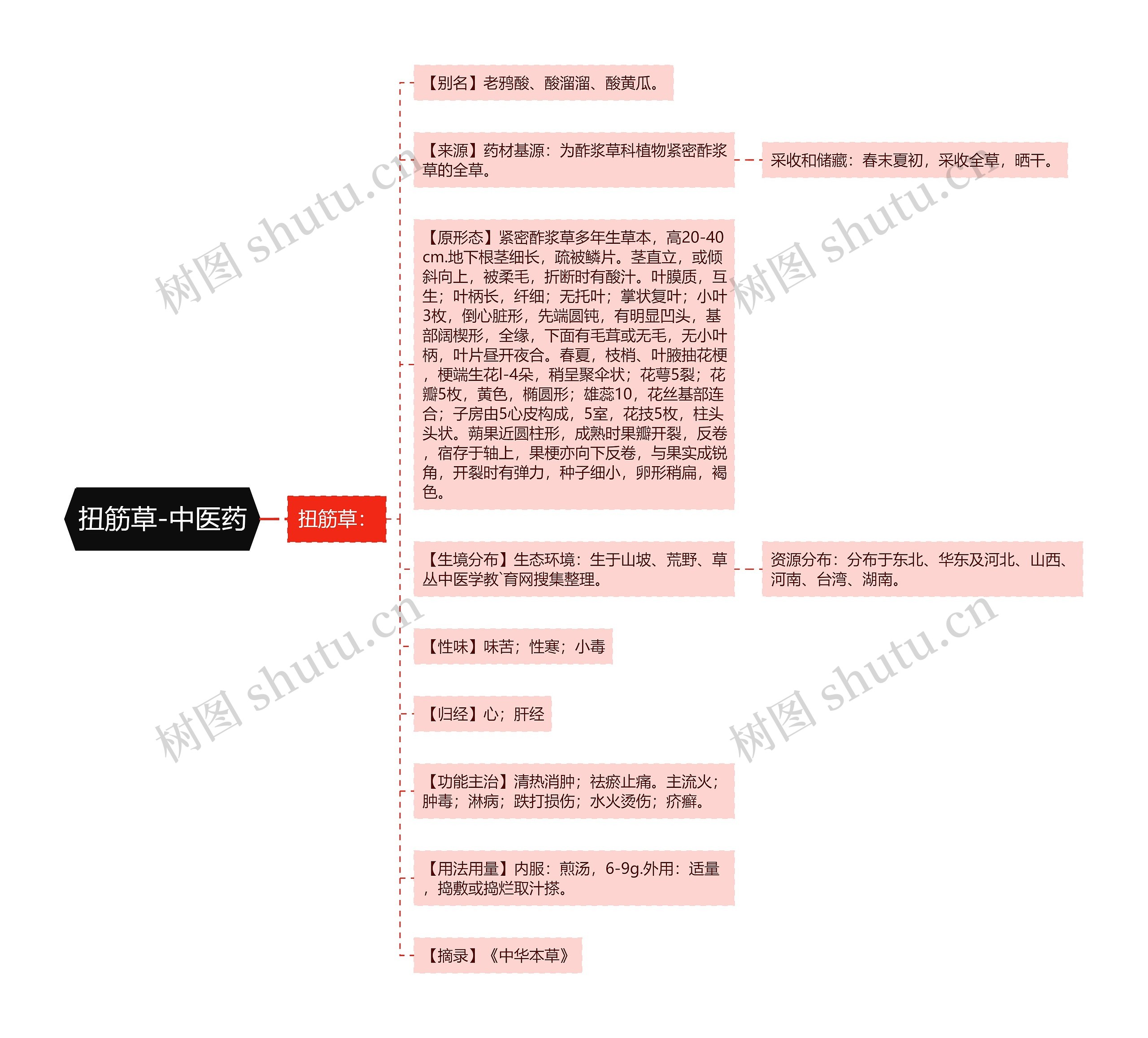 扭筋草-中医药 扭筋草-中医药
