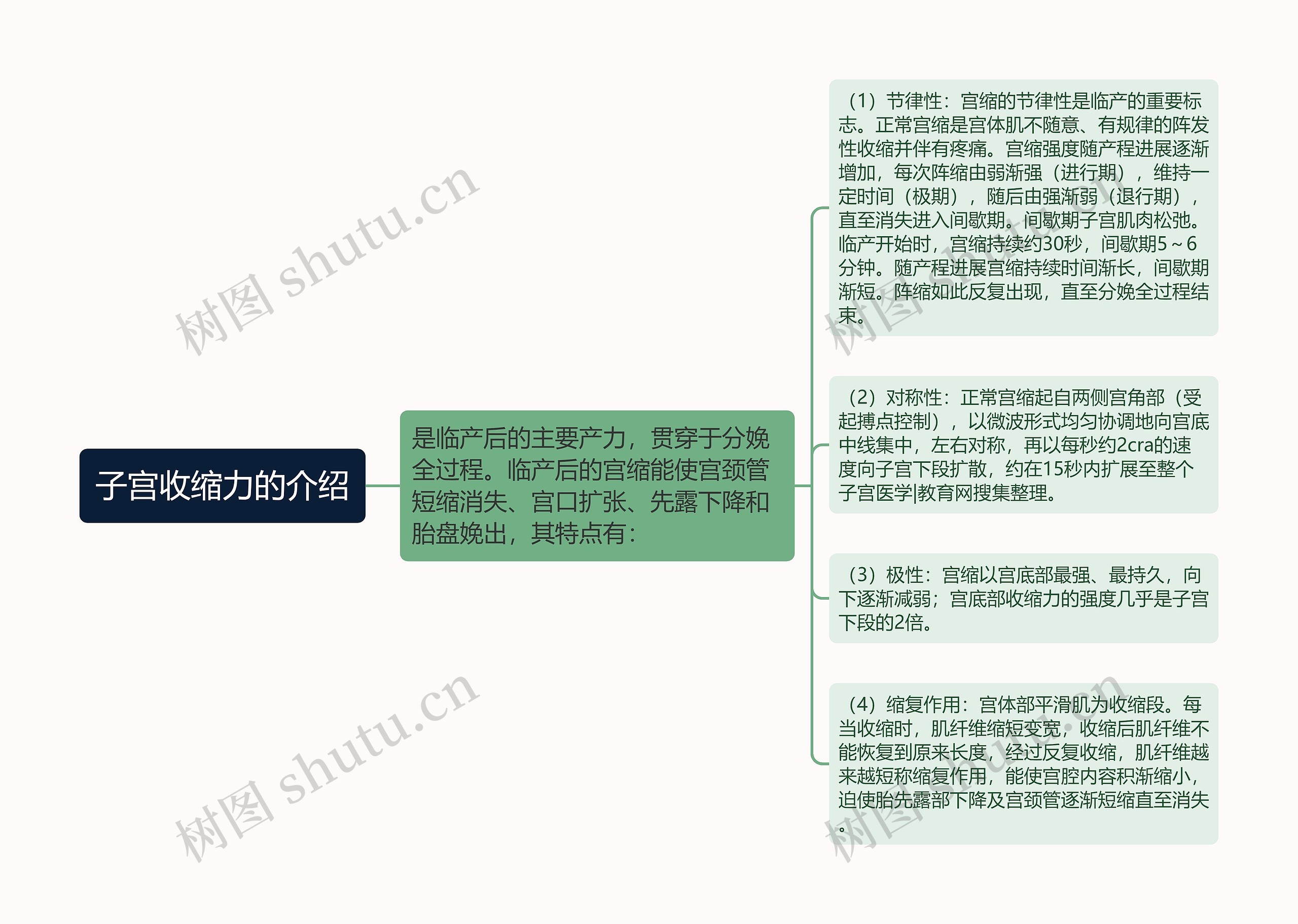 子宫收缩力的介绍思维导图