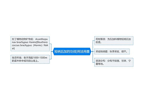 短柄五加的功效|用法用量