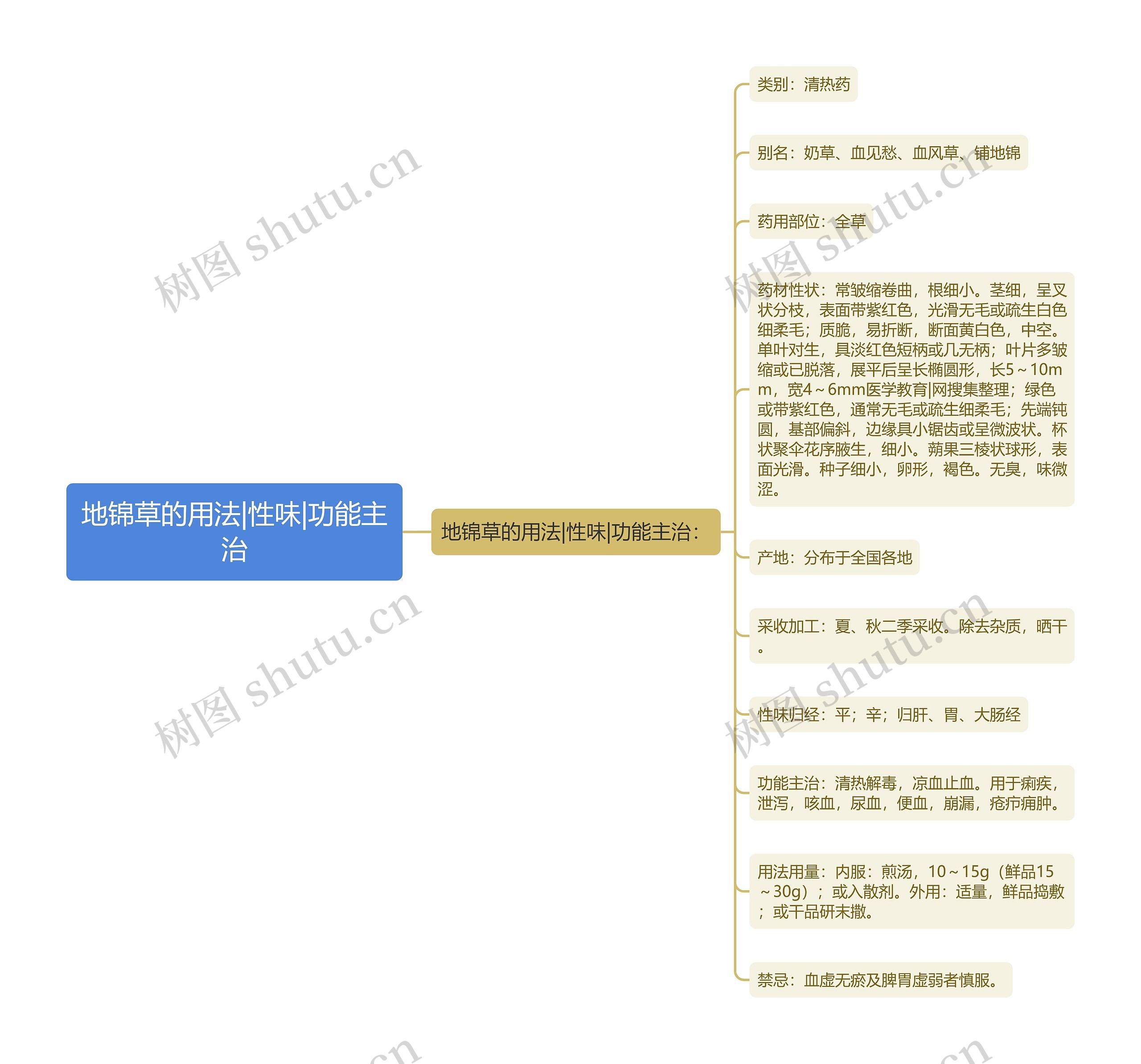 地锦草的用法|性味|功能主治思维导图