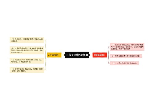 二级护理管理制度