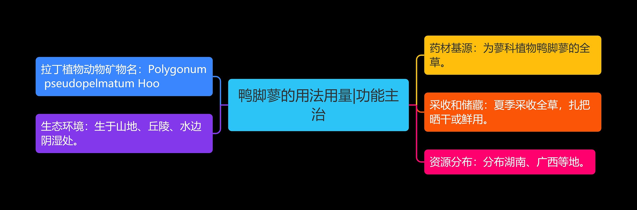 鸭脚蓼的用法用量|功能主治思维导图