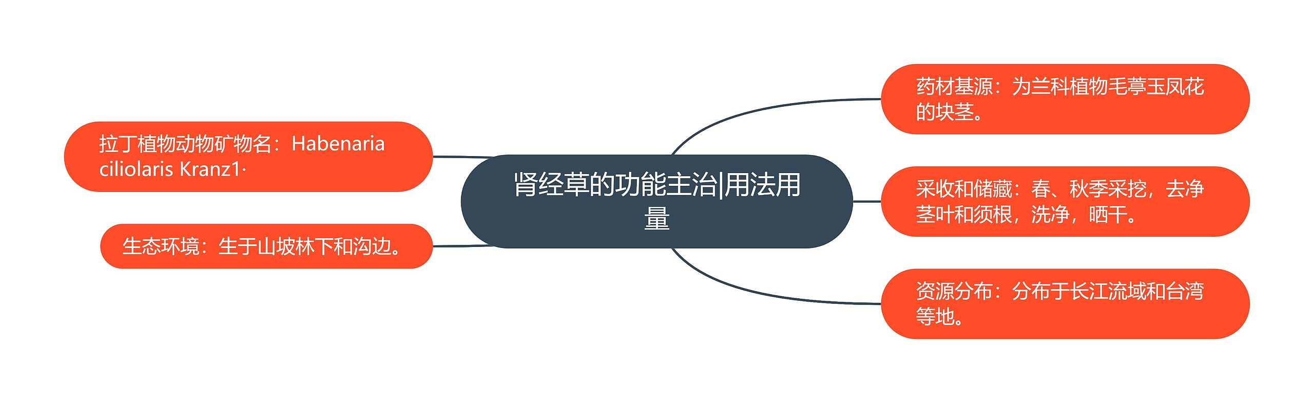 肾经草的功能主治|用法用量 肾经草的功能主治|用法用量