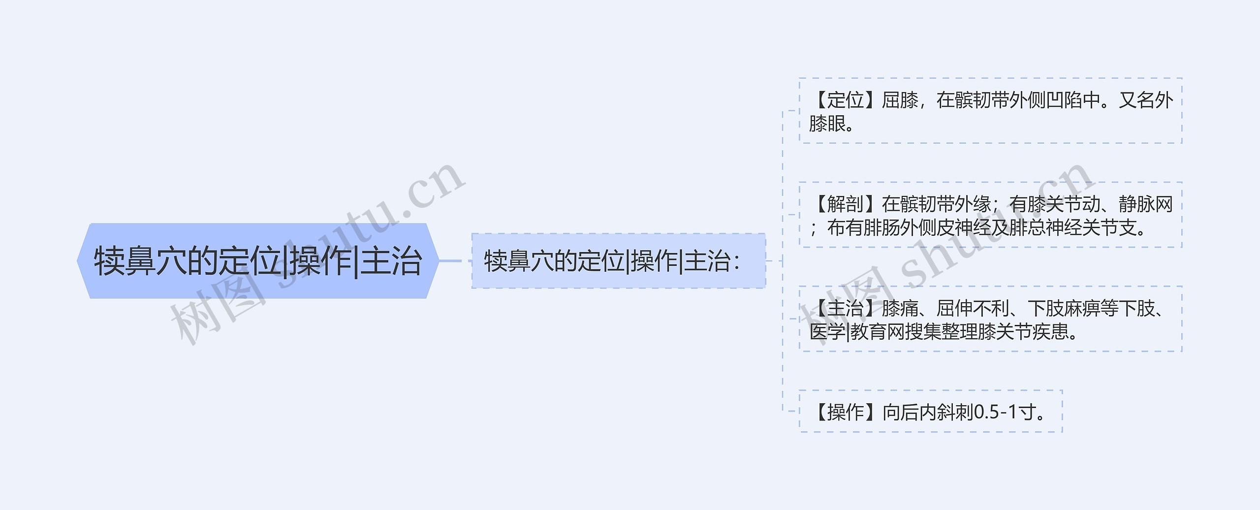 犊鼻穴的定位|操作|主治