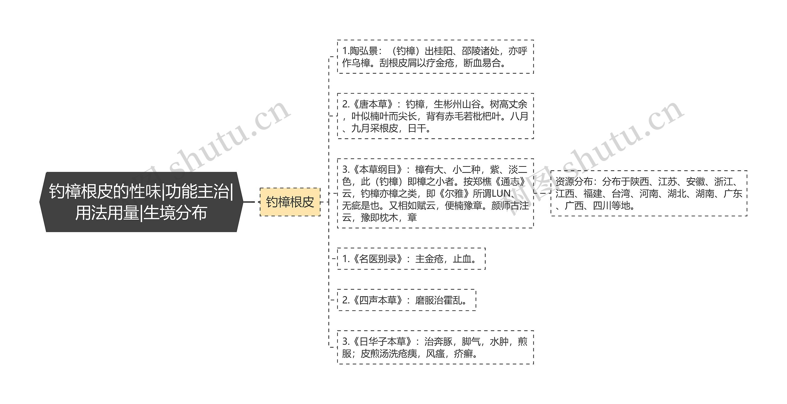 钓樟根皮的性味|功能主治|用法用量|生境分布思维导图