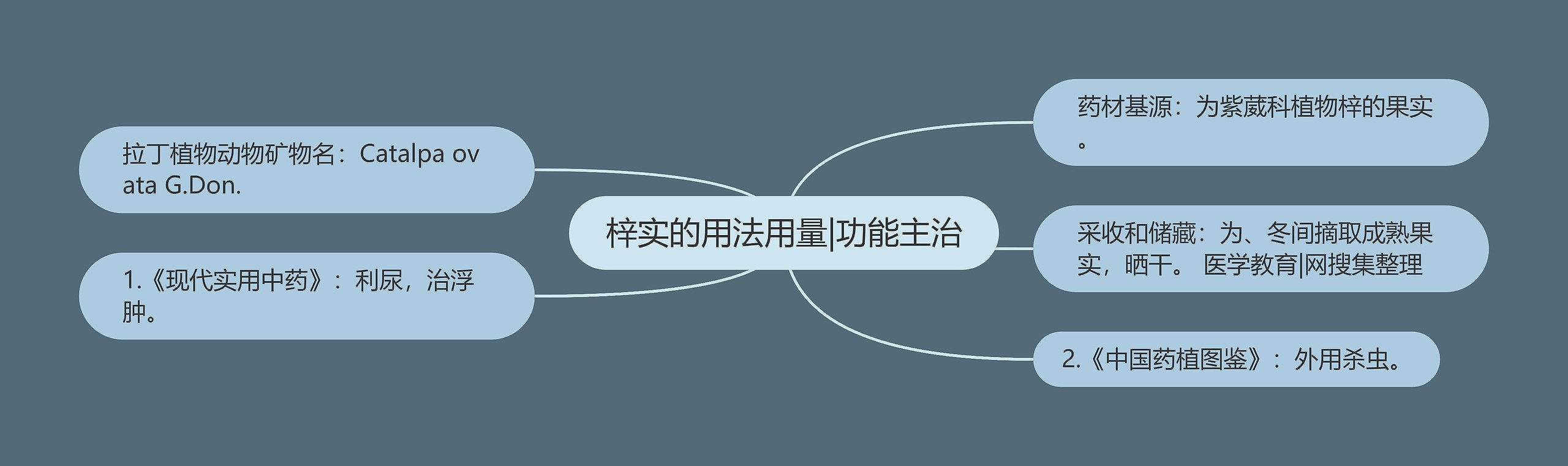 梓实的用法用量|功能主治 梓实的用法用量|功能主治