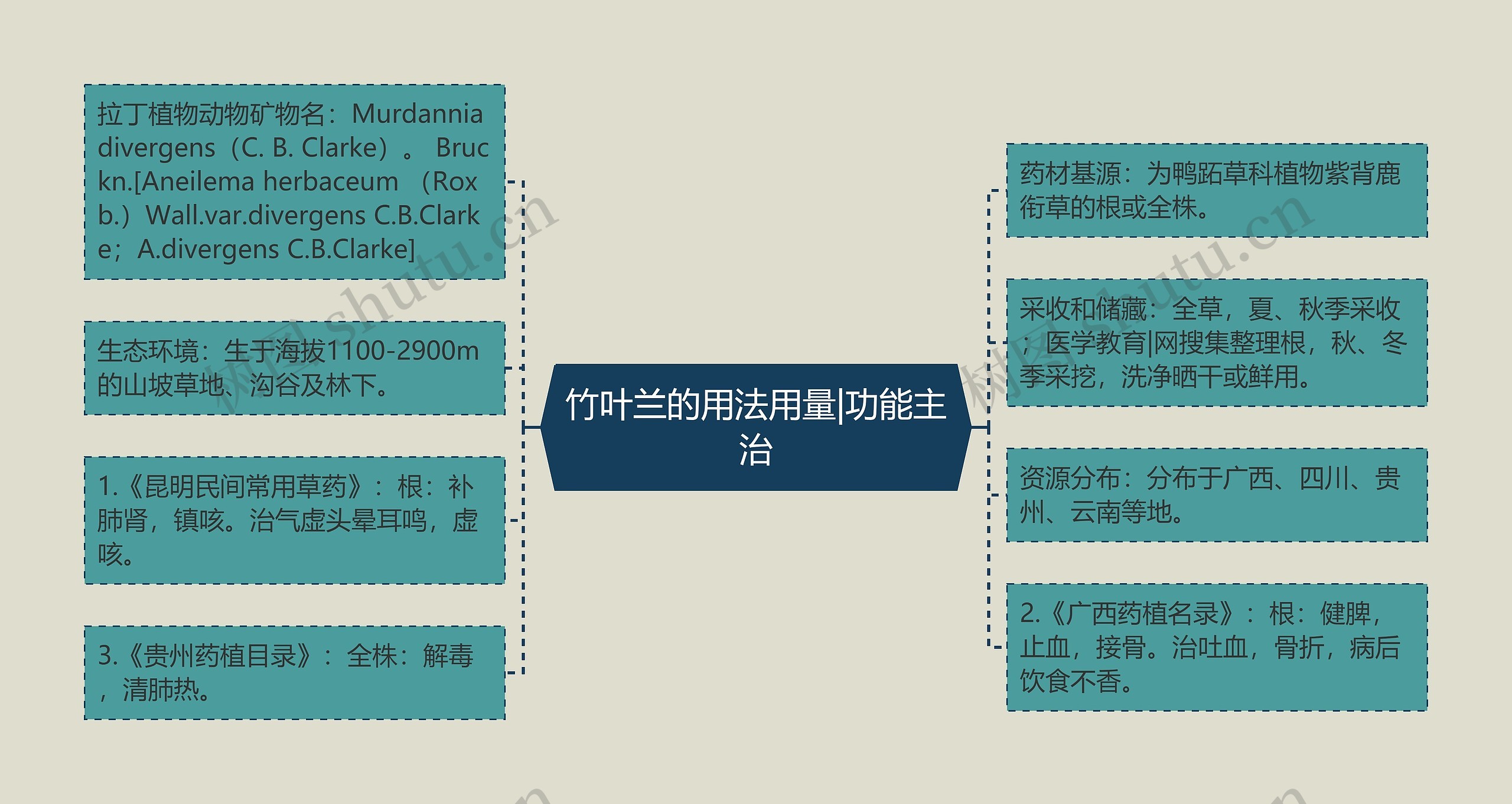 竹叶兰的用法用量|功能主治思维导图