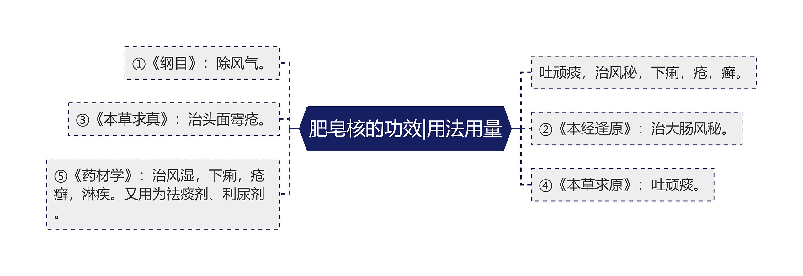 肥皂核的功效|用法用量 肥皂核的功效|用法用量