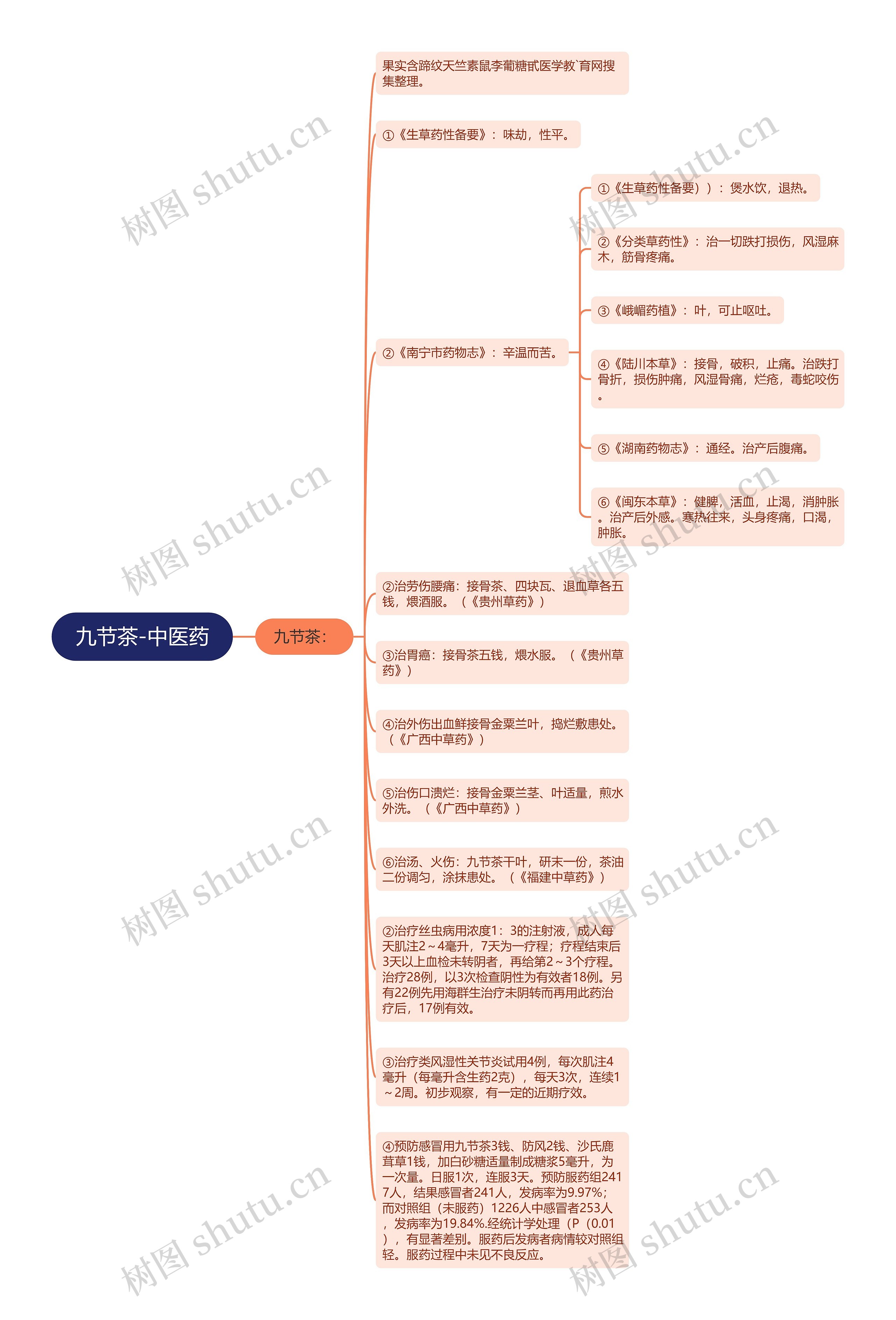 九节茶-中医药思维导图