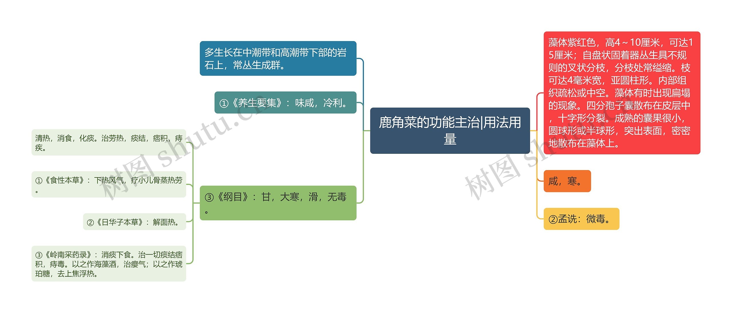 鹿角菜的功能主治|用法用量思维导图