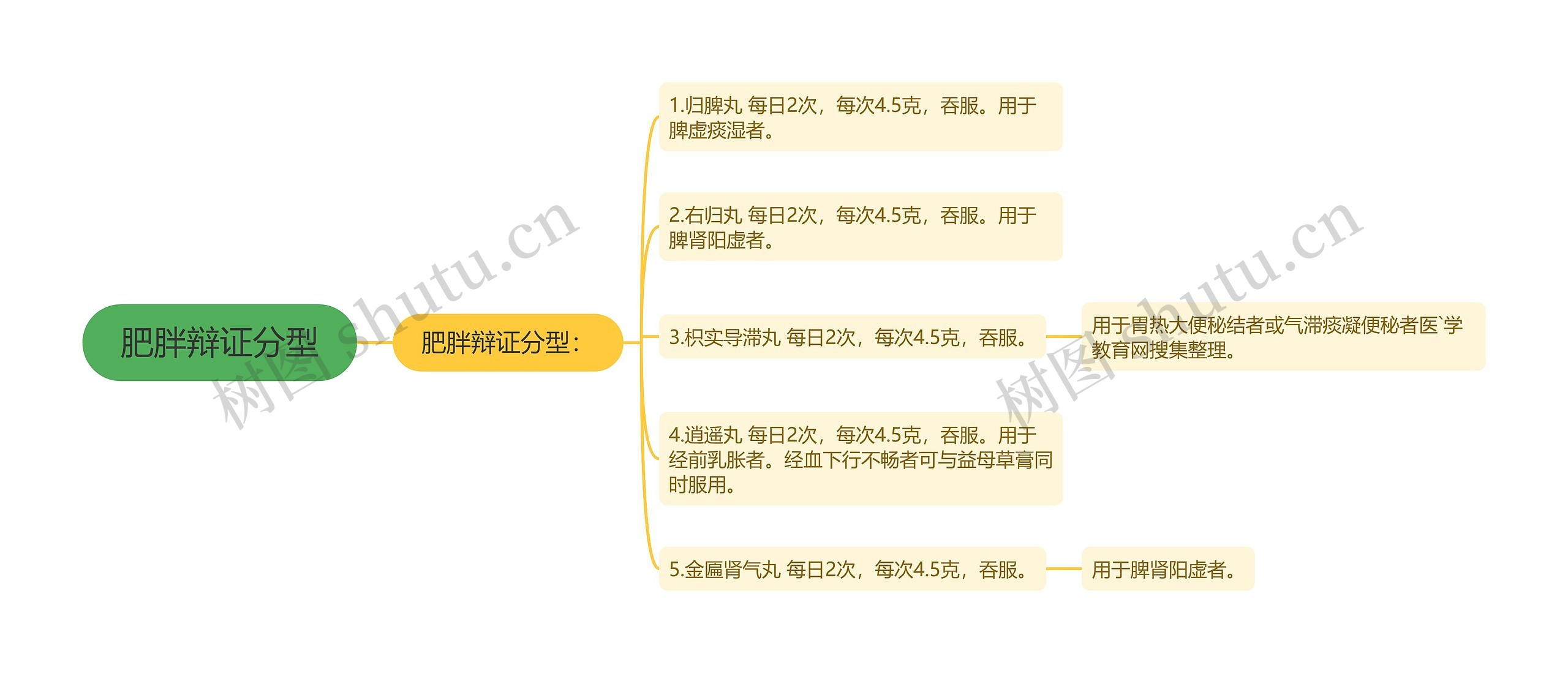 肥胖辩证分型思维导图