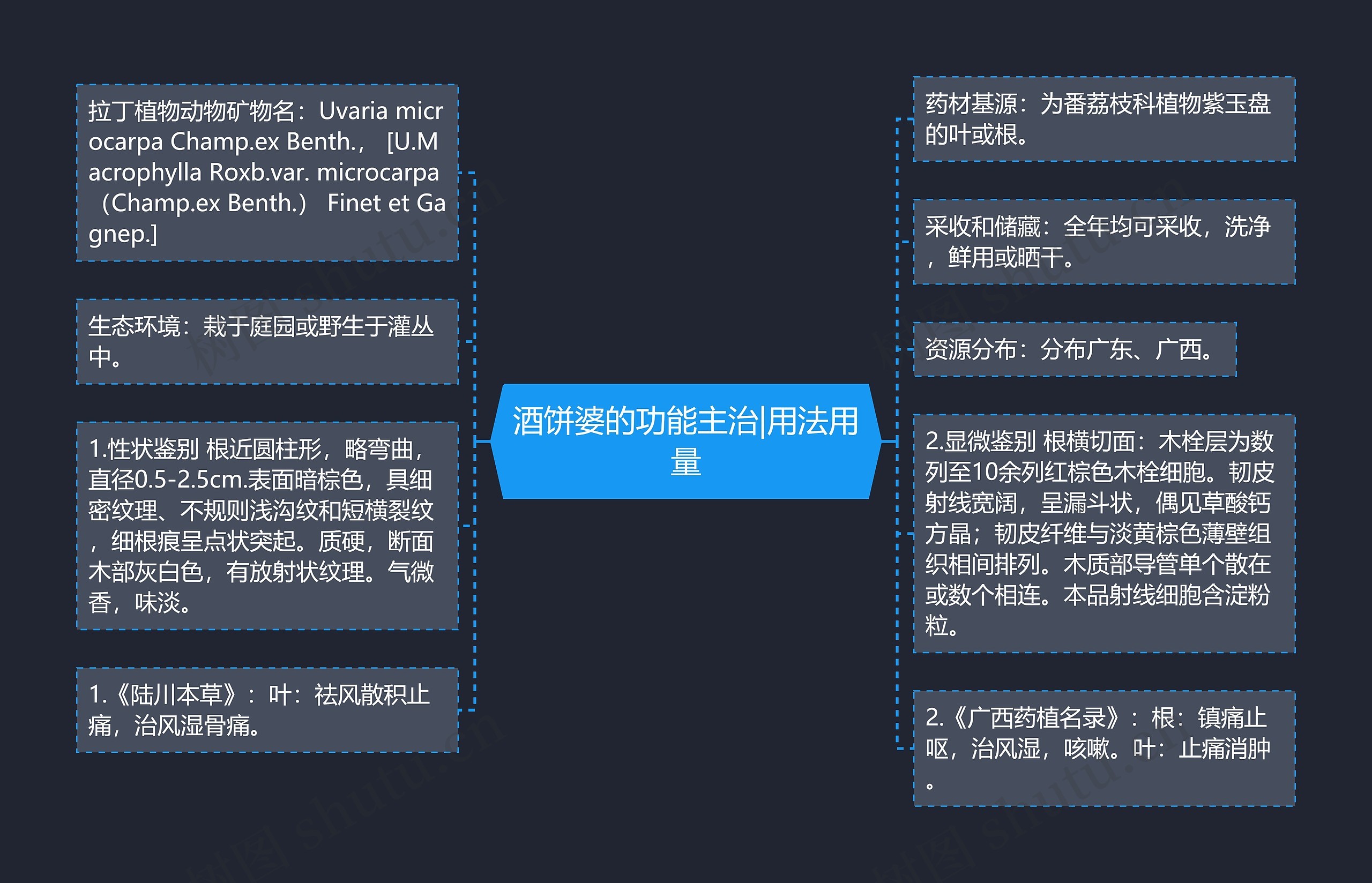 酒饼婆的功能主治|用法用量思维导图