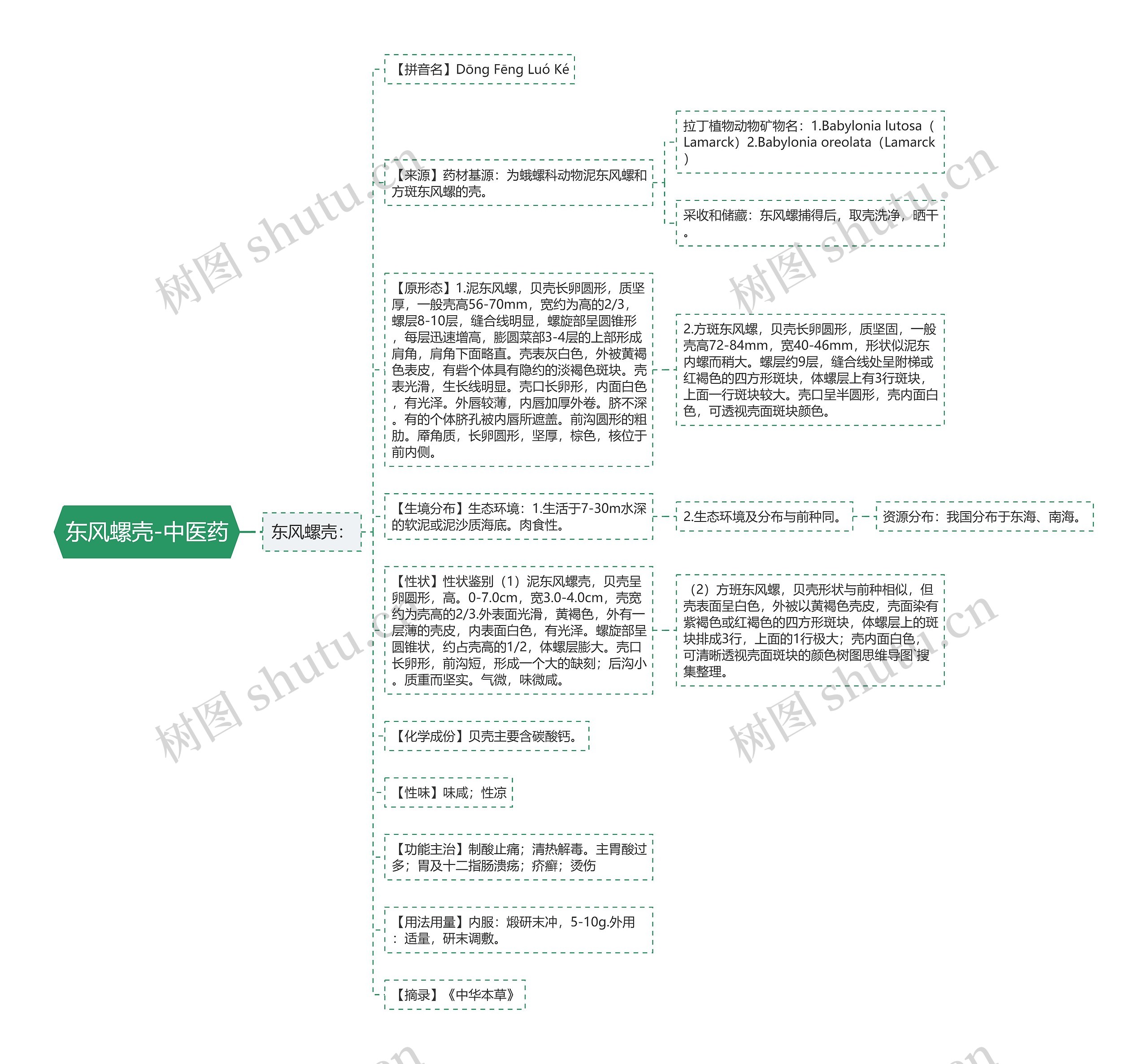 东风螺壳-中医药思维导图