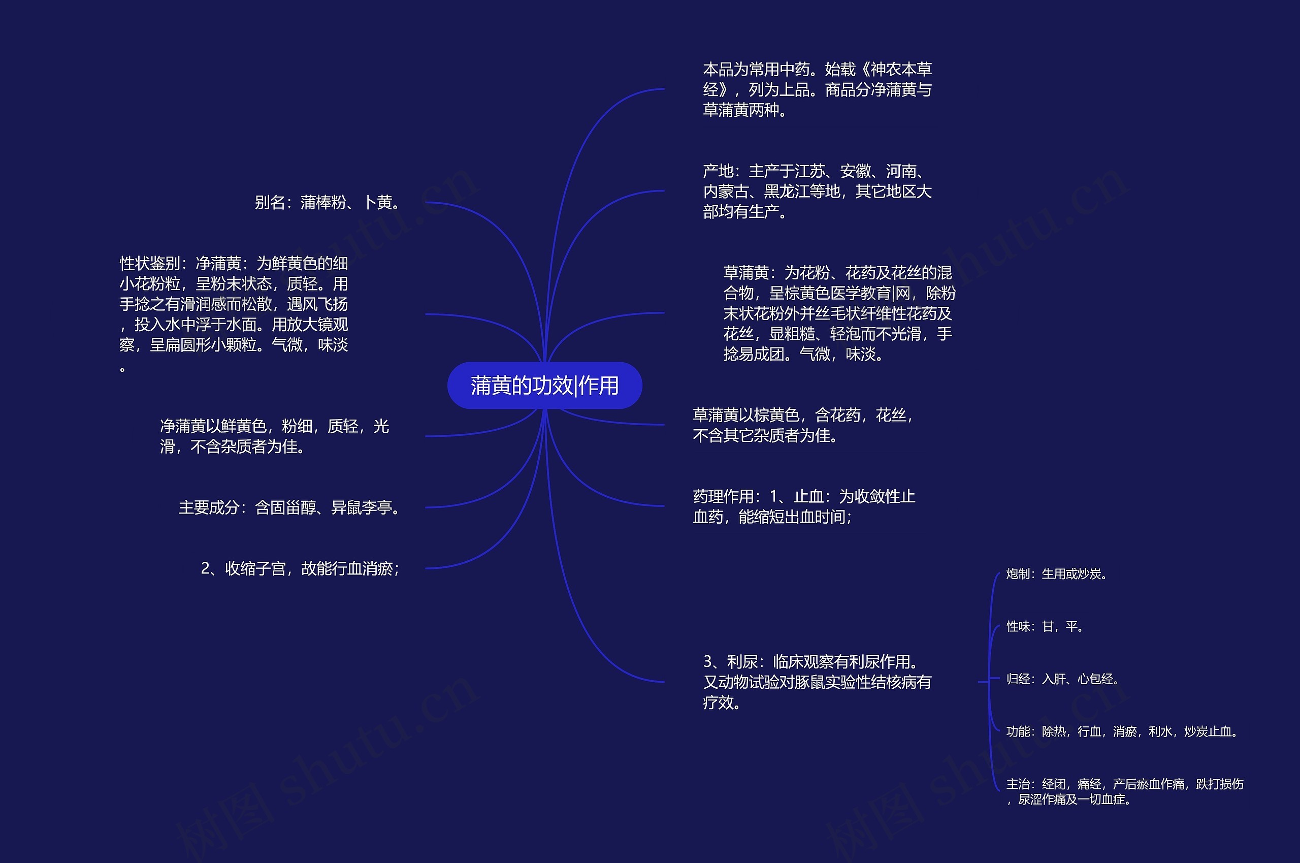 蒲黄的功效|作用思维导图