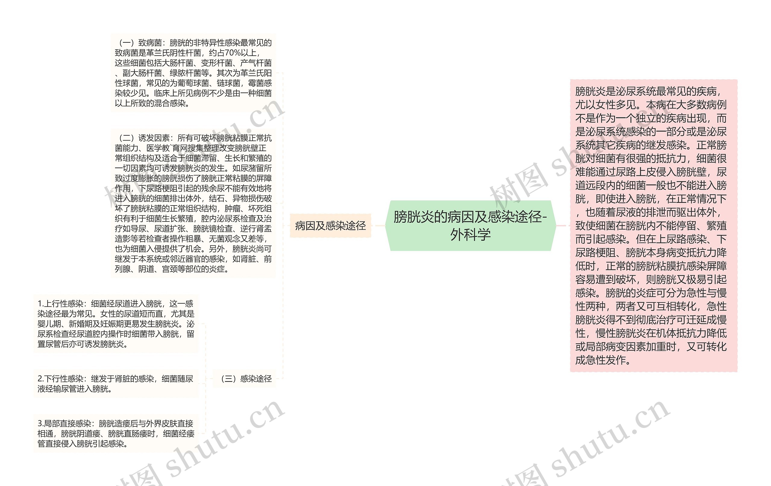 膀胱炎的病因及感染途径-外科学