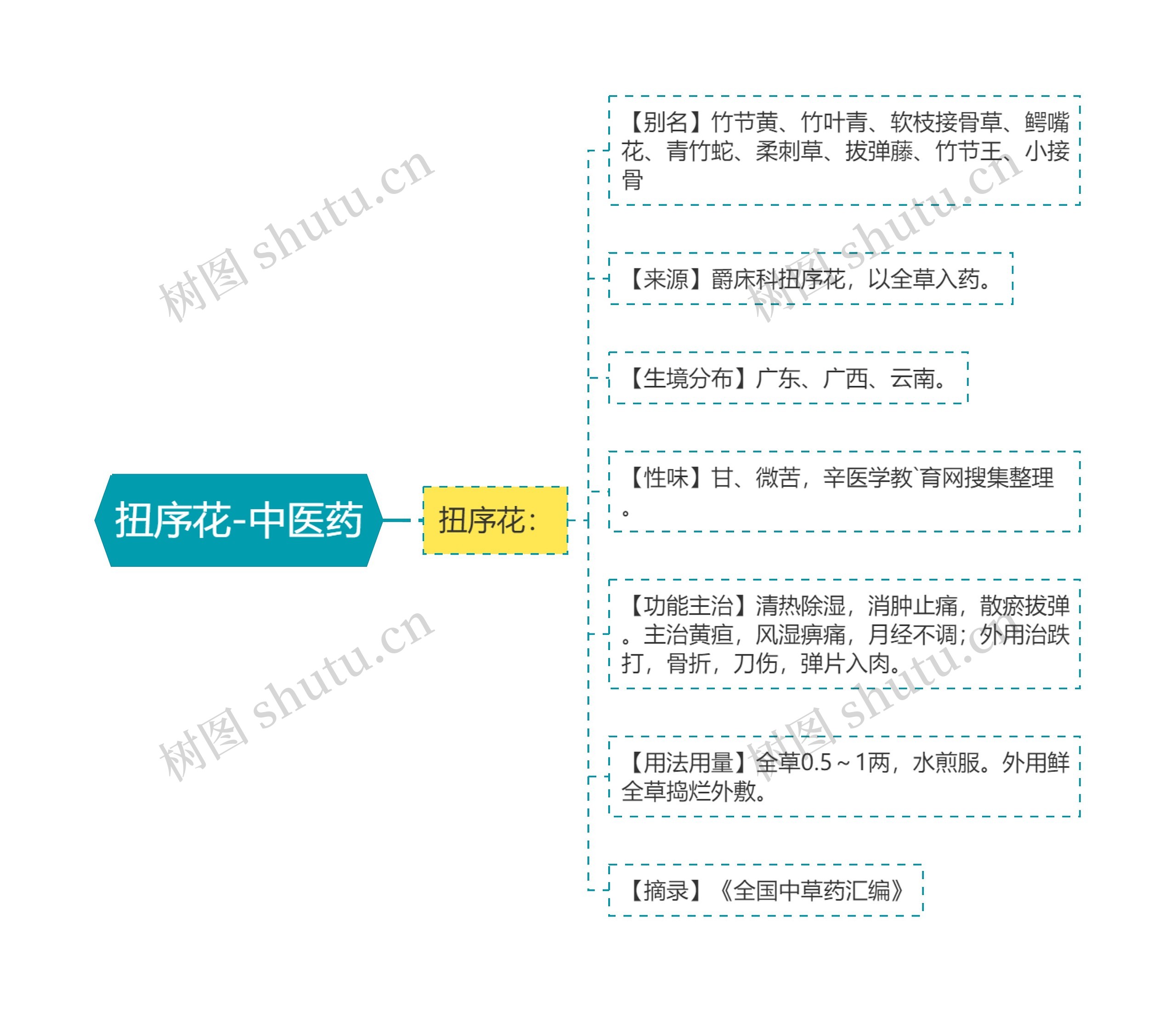 扭序花-中医药思维导图