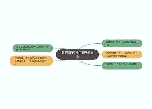 野冬菊的用法用量|功能主治