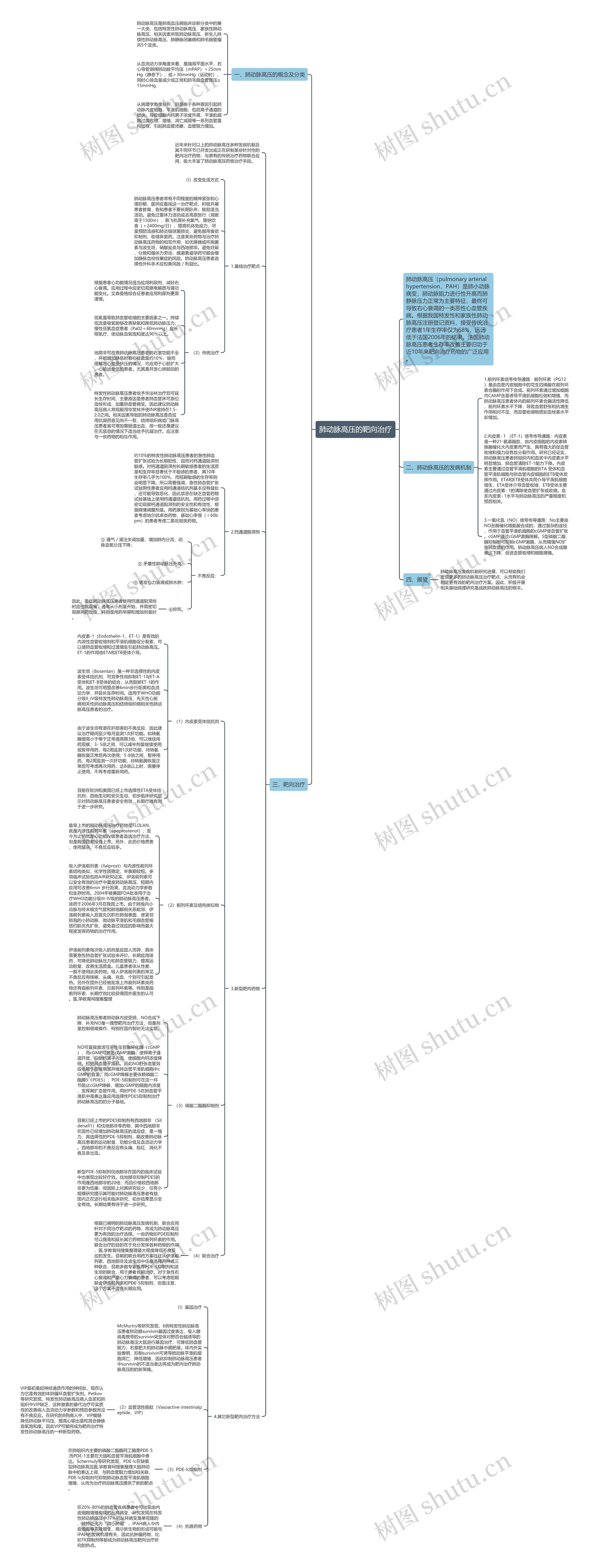 肺动脉高压的靶向治疗思维导图