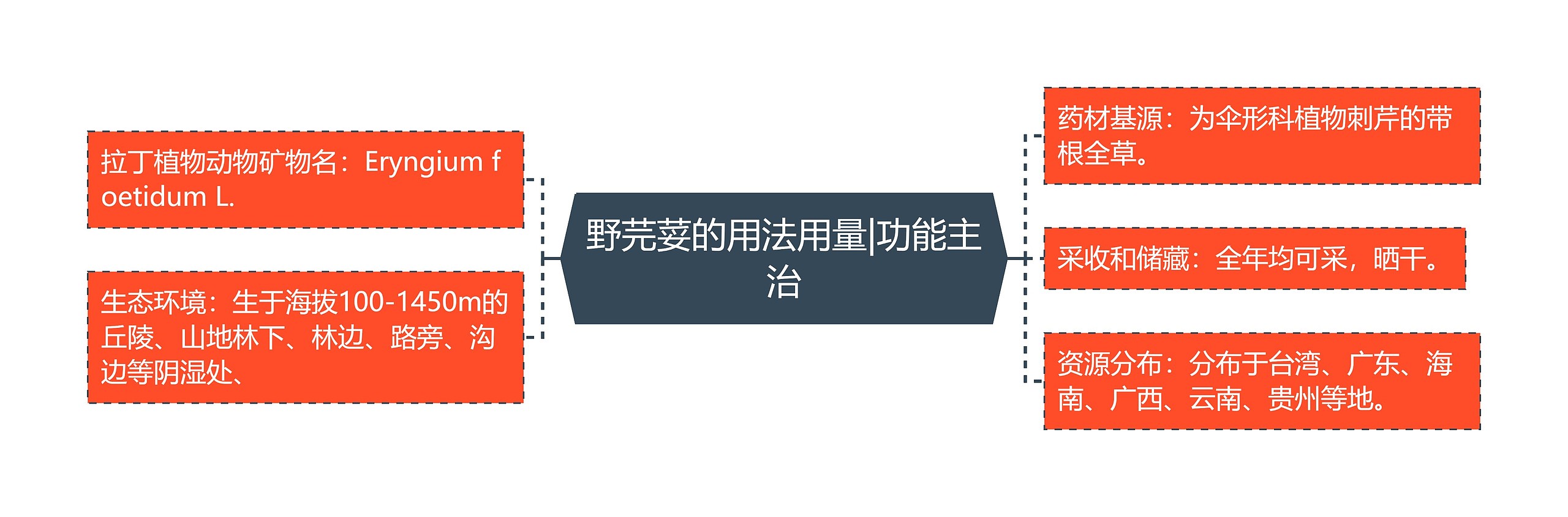 野芫荽的用法用量|功能主治 野芫荽的用法用量|功能主治