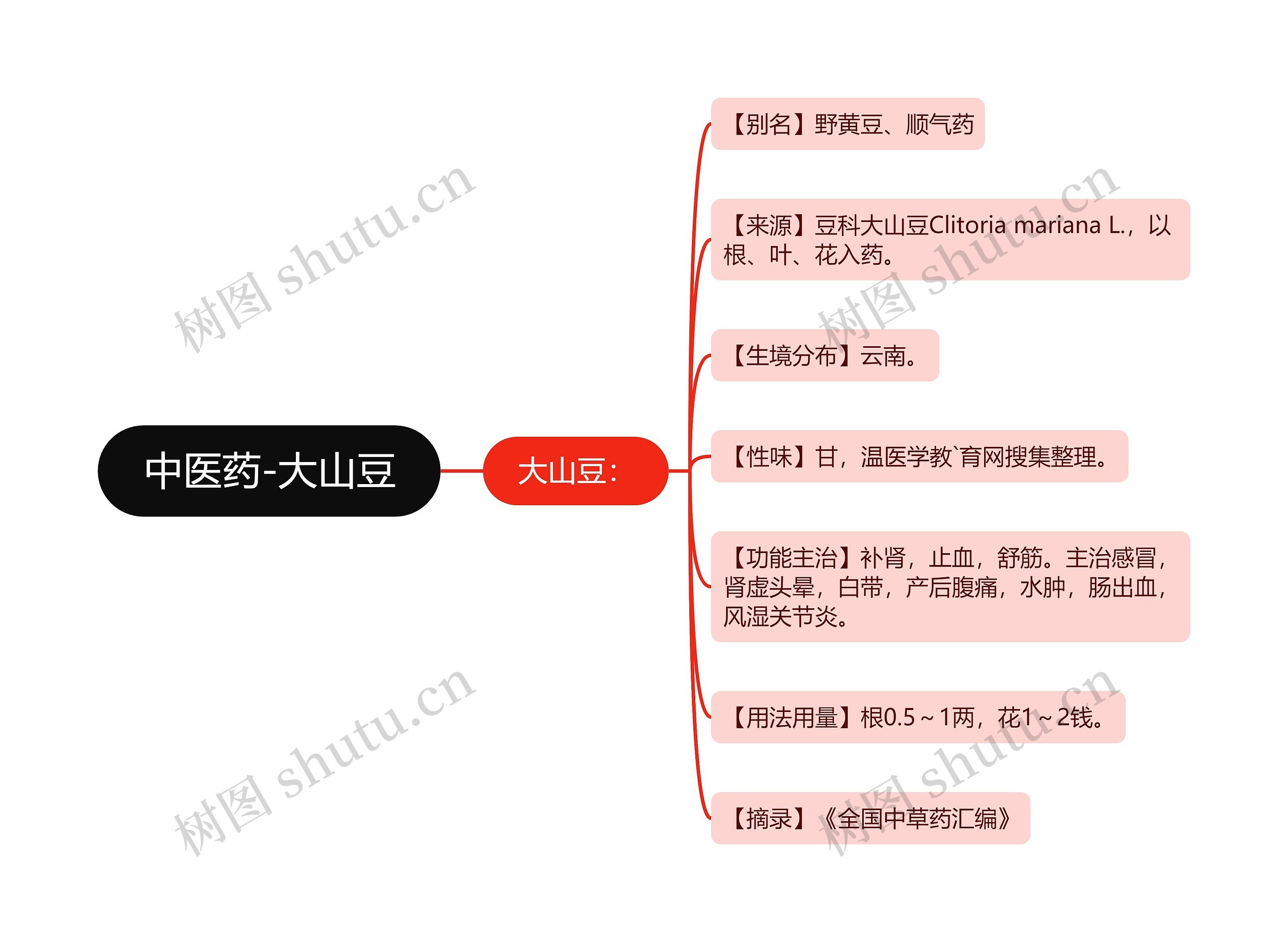 中医药-大山豆思维导图