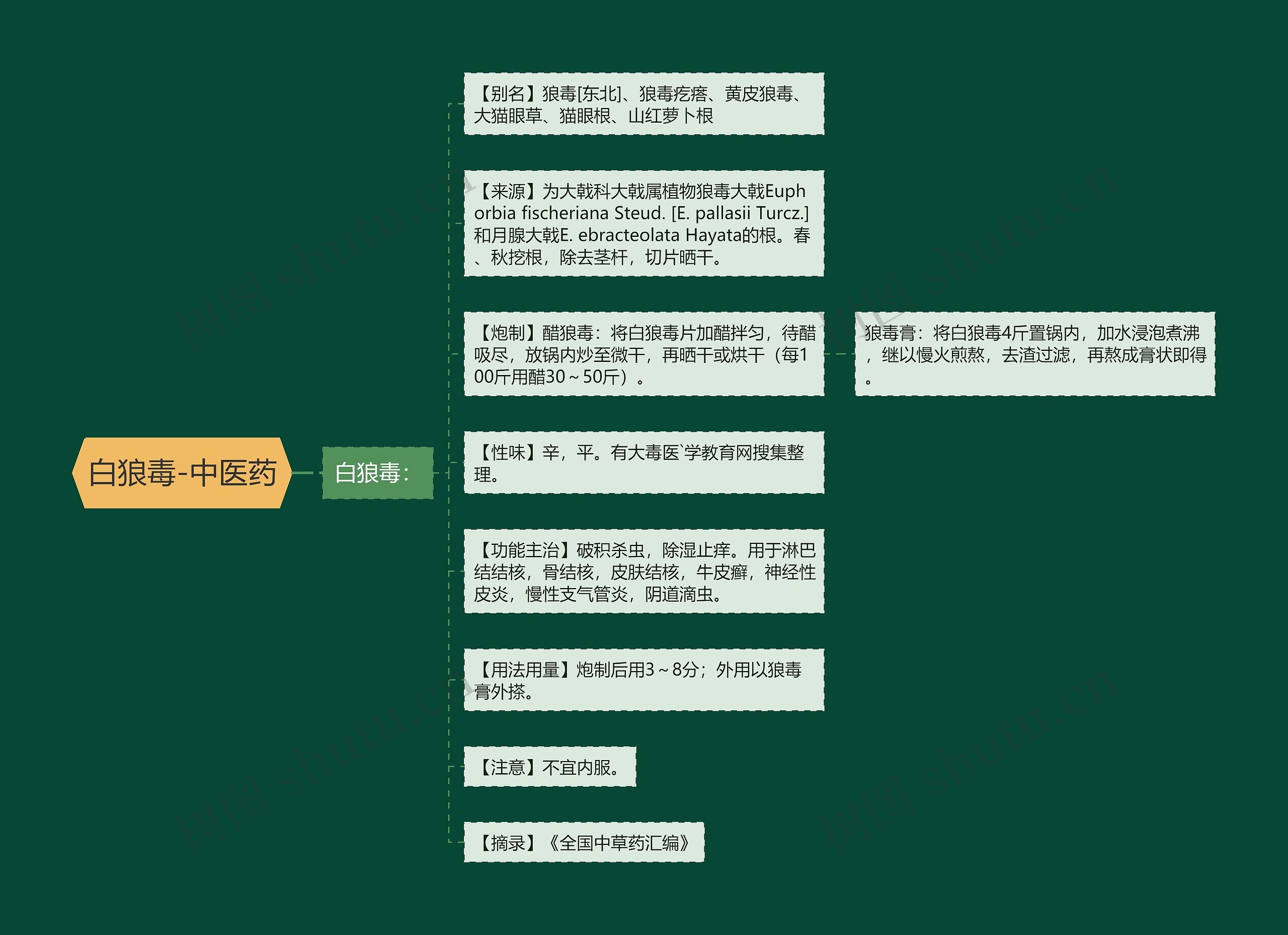 白狼毒-中医药