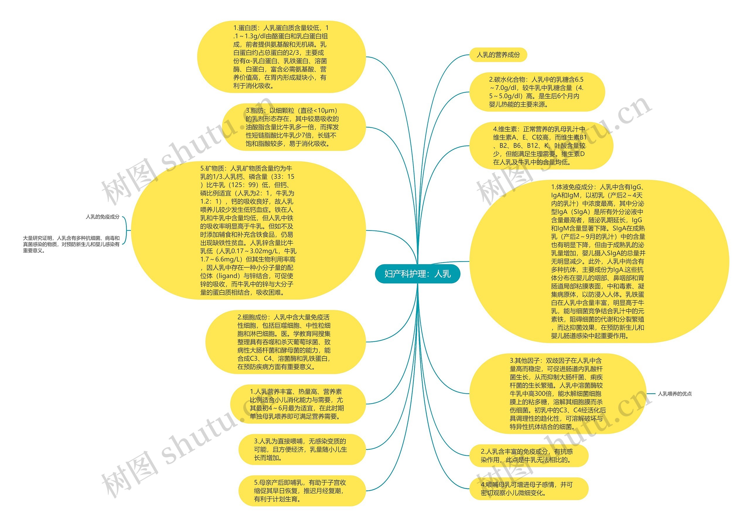 妇产科护理：人乳思维导图