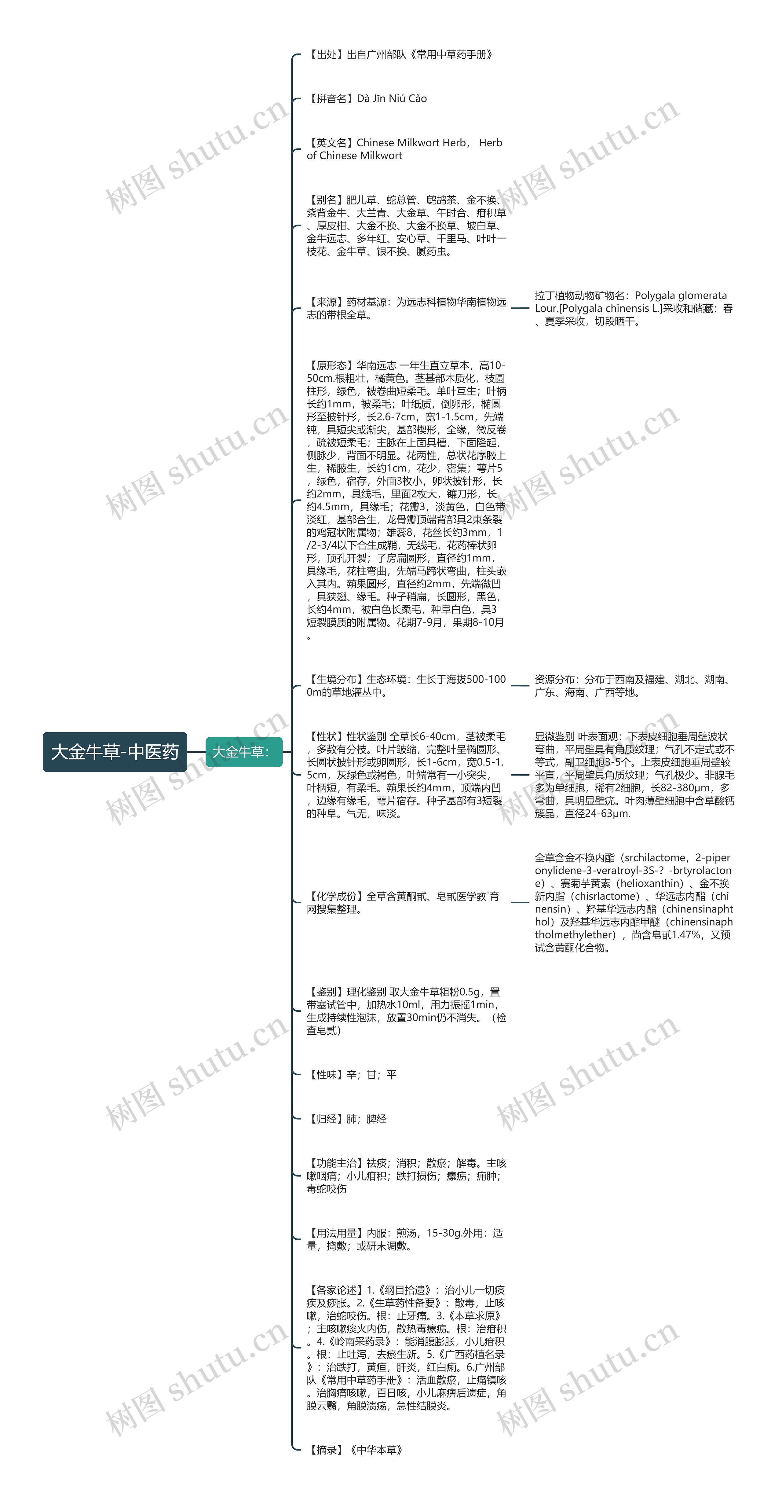 大金牛草-中医药思维导图