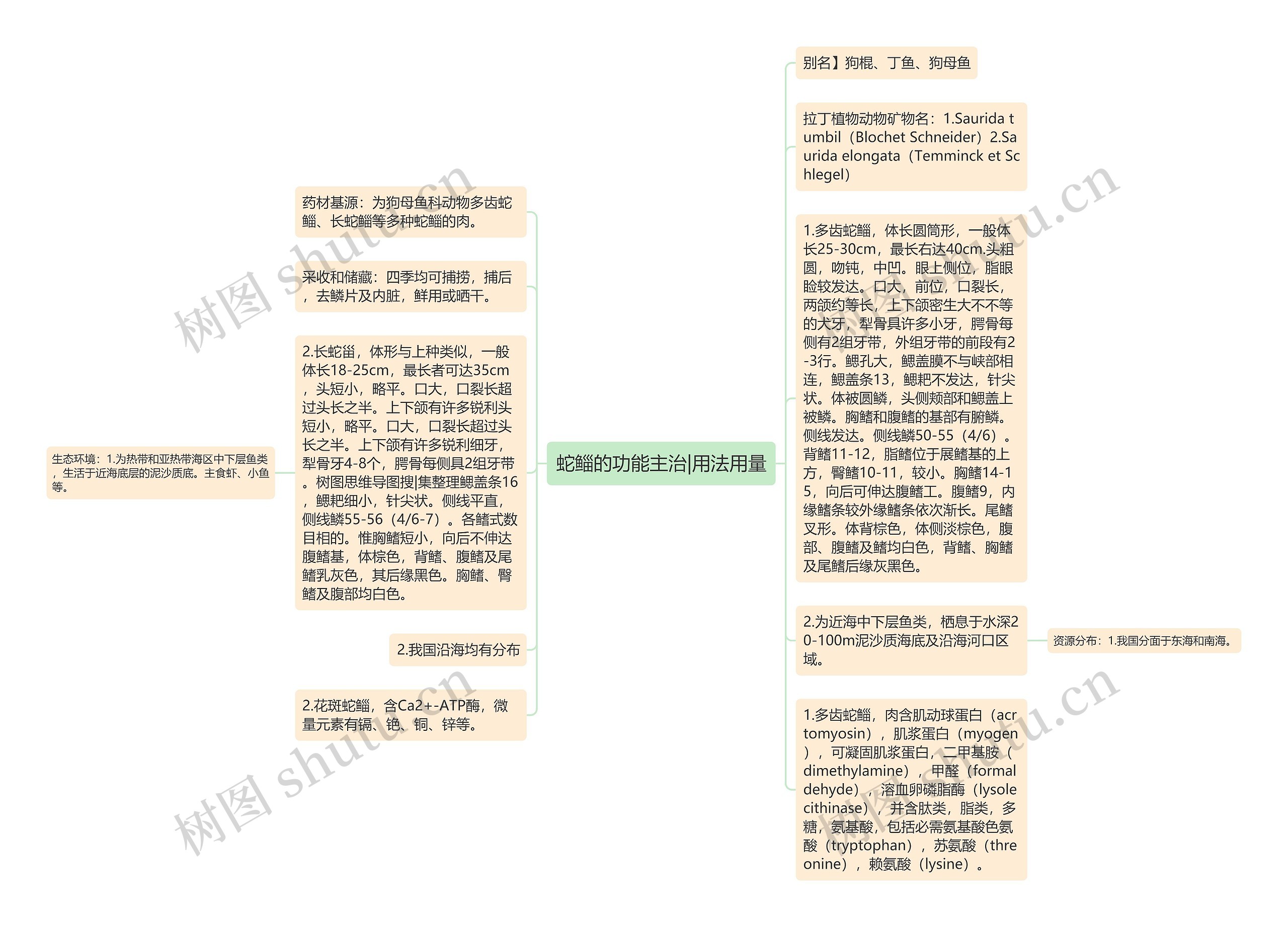 蛇鲻的功能主治|用法用量思维导图