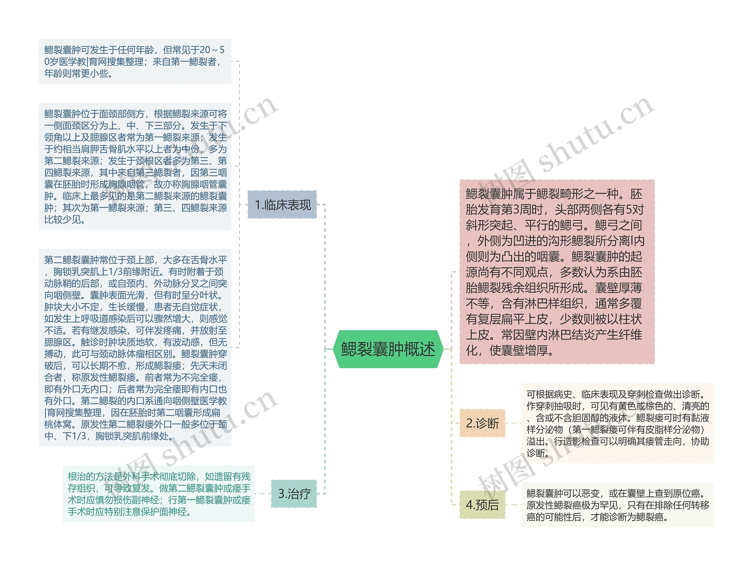 鳃裂囊肿概述思维导图