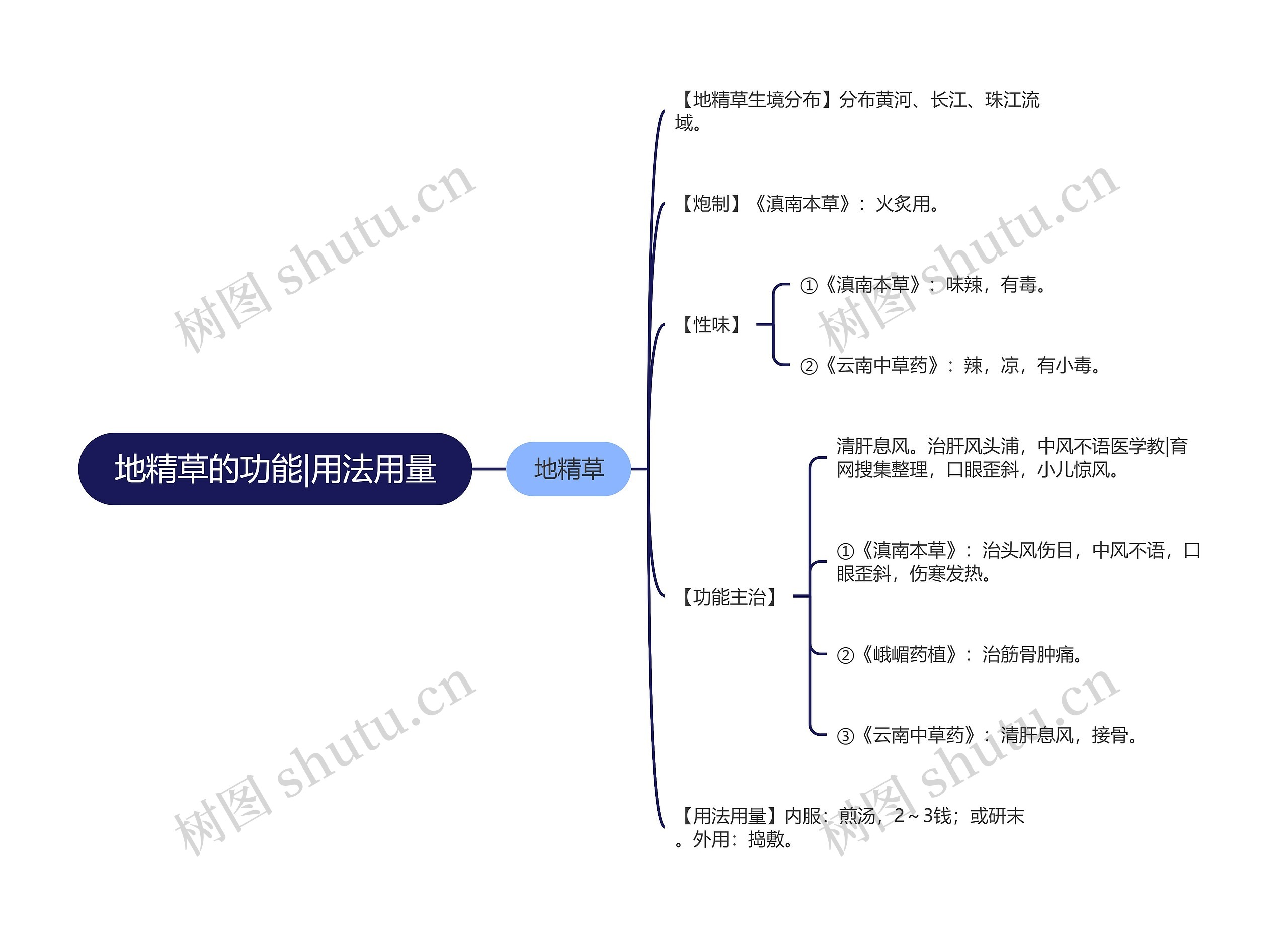 地精草的功能|用法用量思维导图