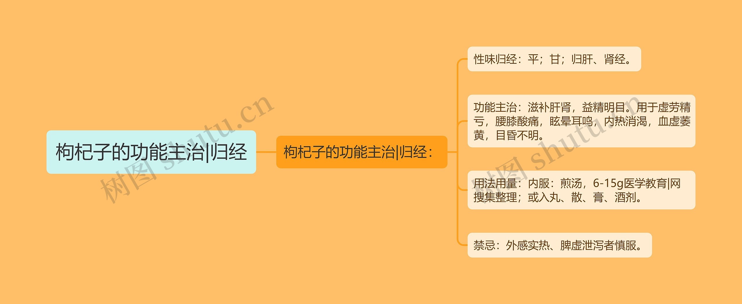 枸杞子的功能主治|归经思维导图