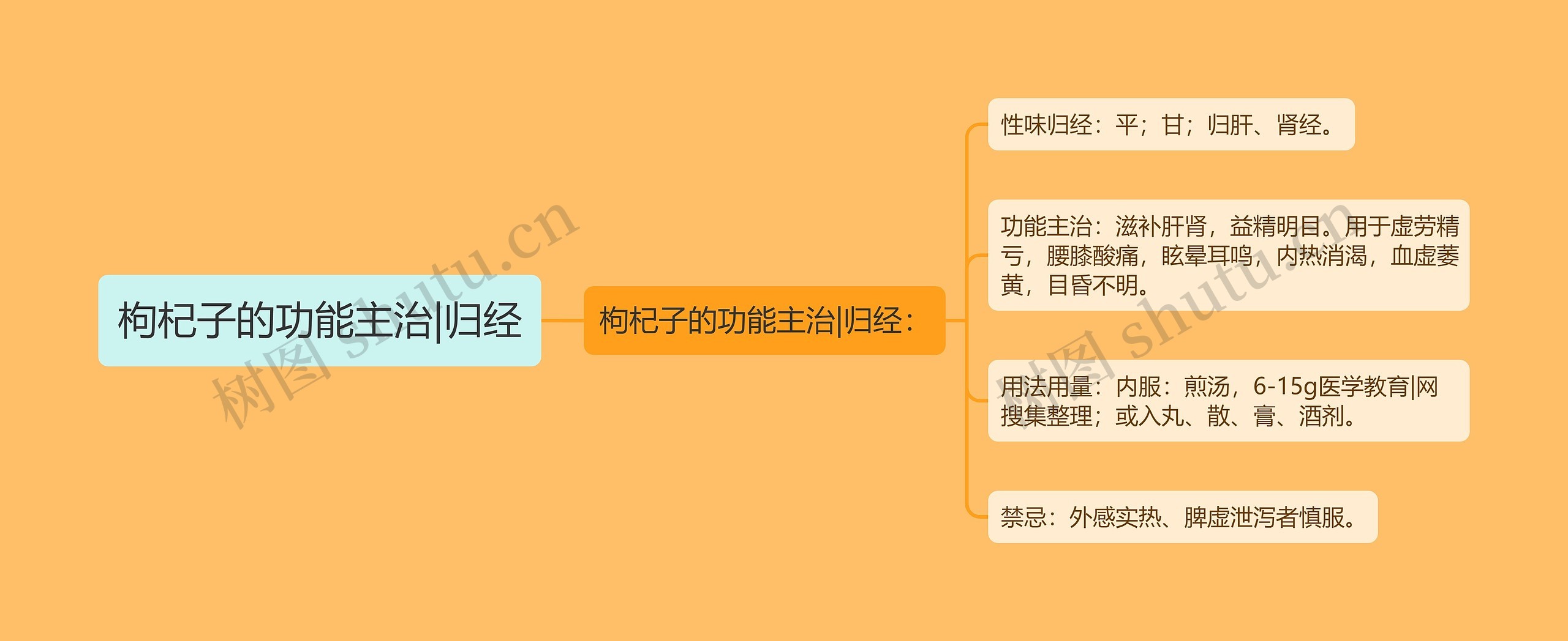 枸杞子的功能主治|归经 枸杞子的功能主治|归经