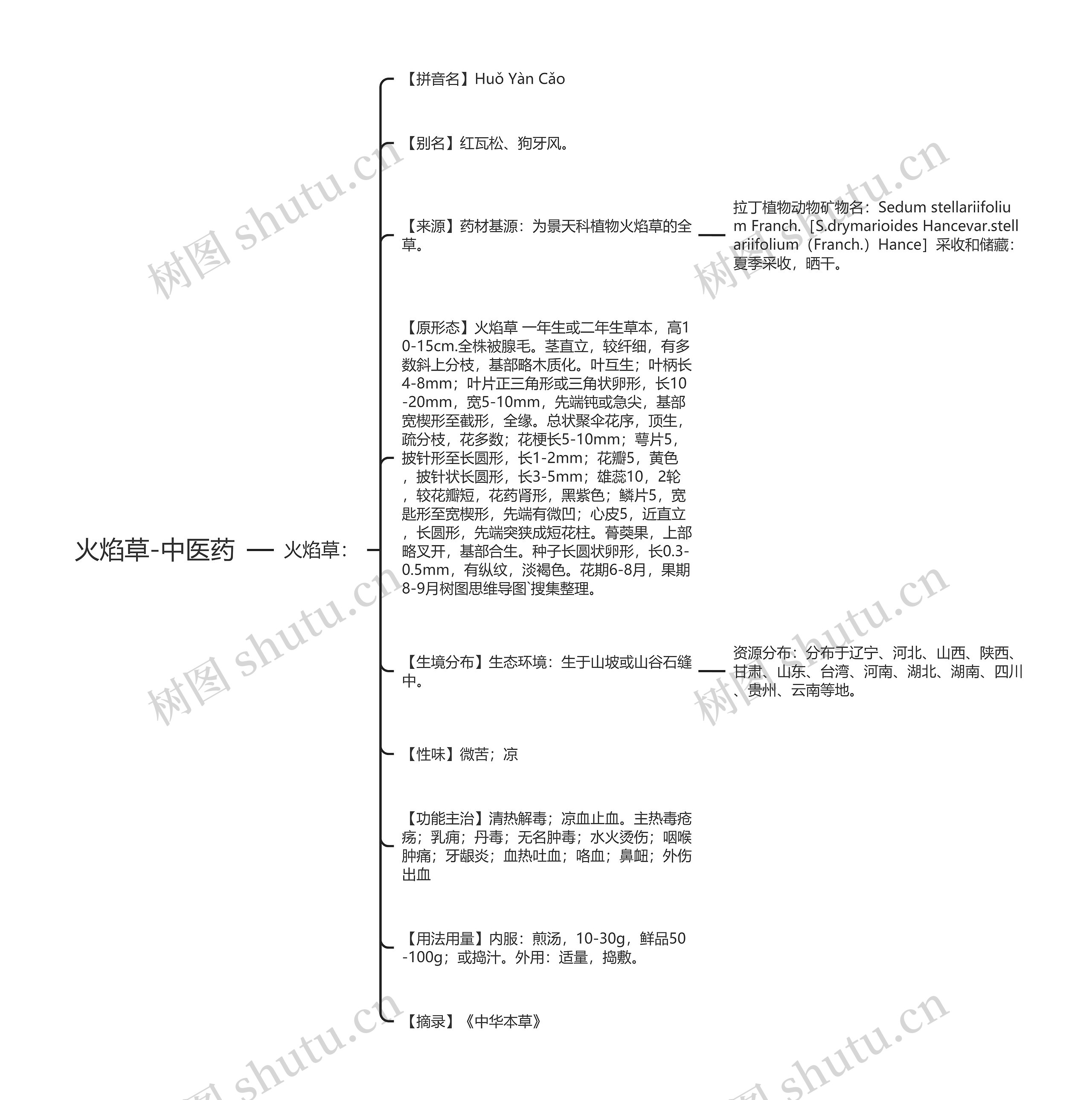 火焰草-中医药思维导图