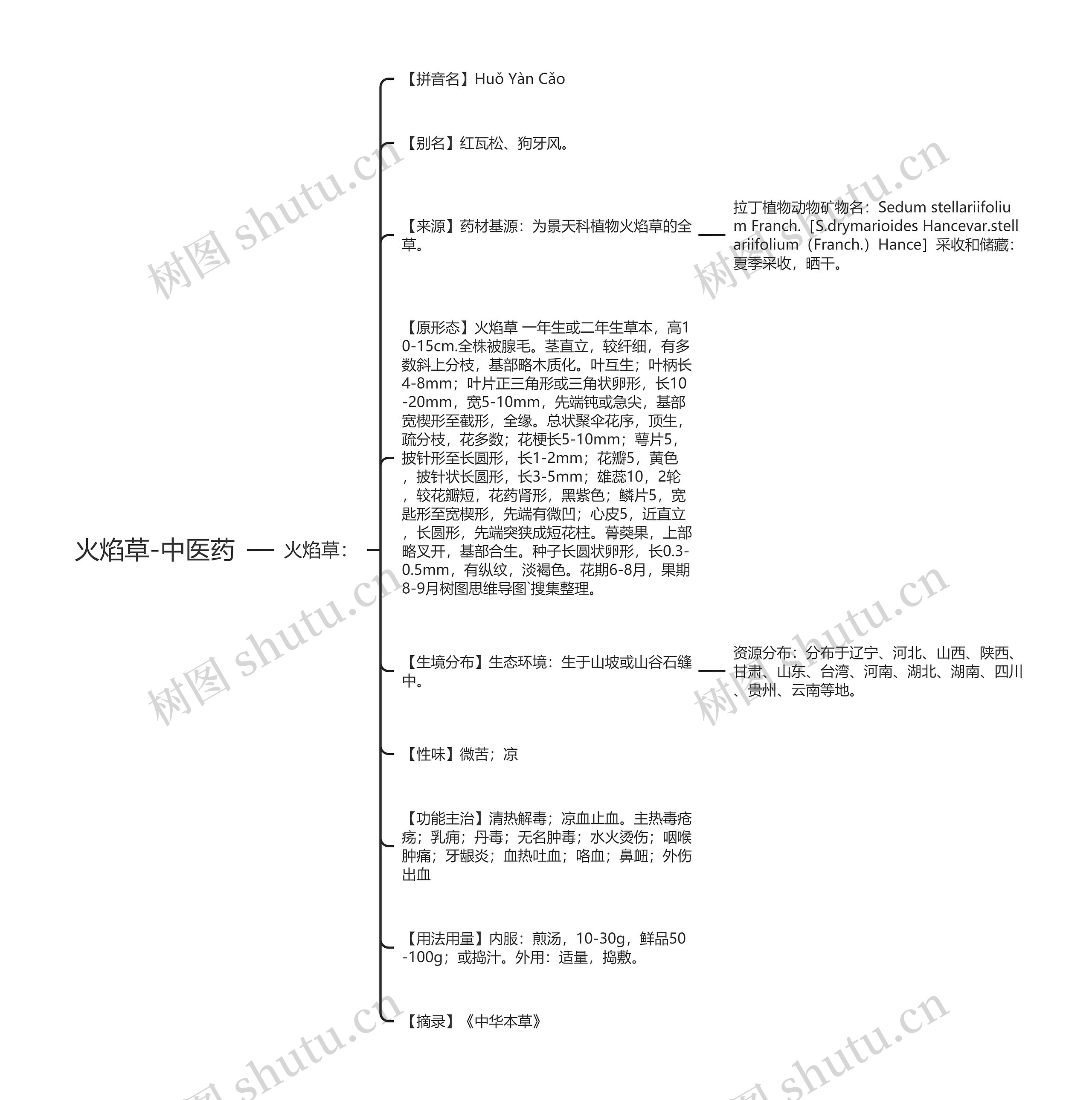 火焰草-中医药 火焰草-中医药