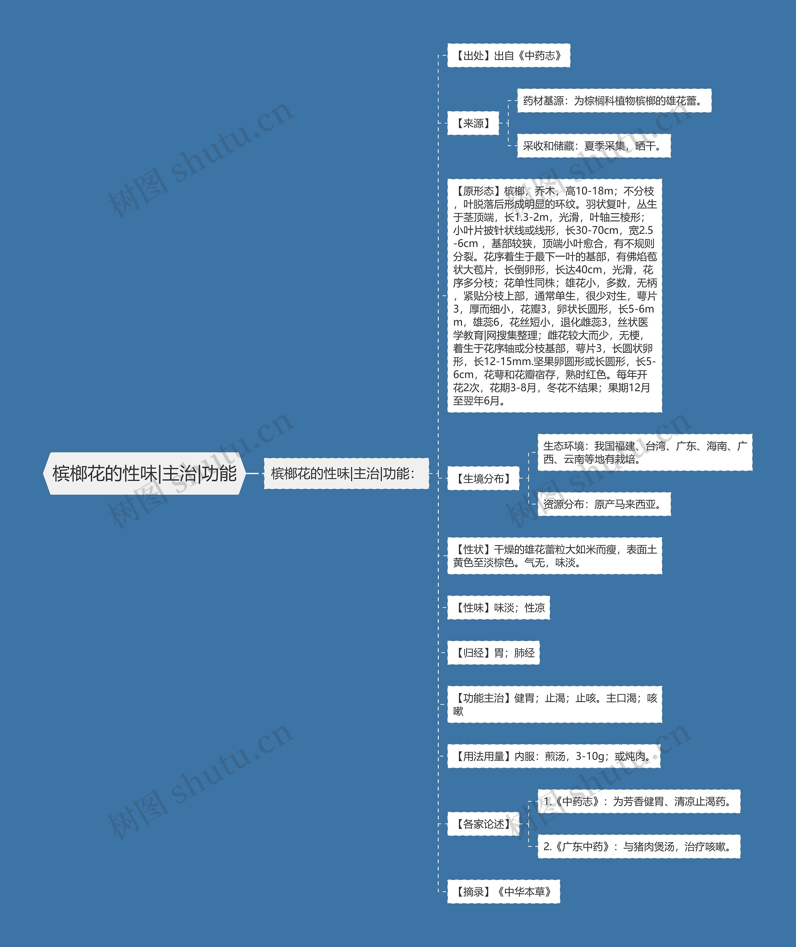 槟榔花的性味|主治|功能思维导图