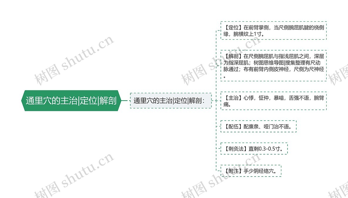 通里穴的主治|定位|解剖思维导图_编号p6836524-TreeMind树图