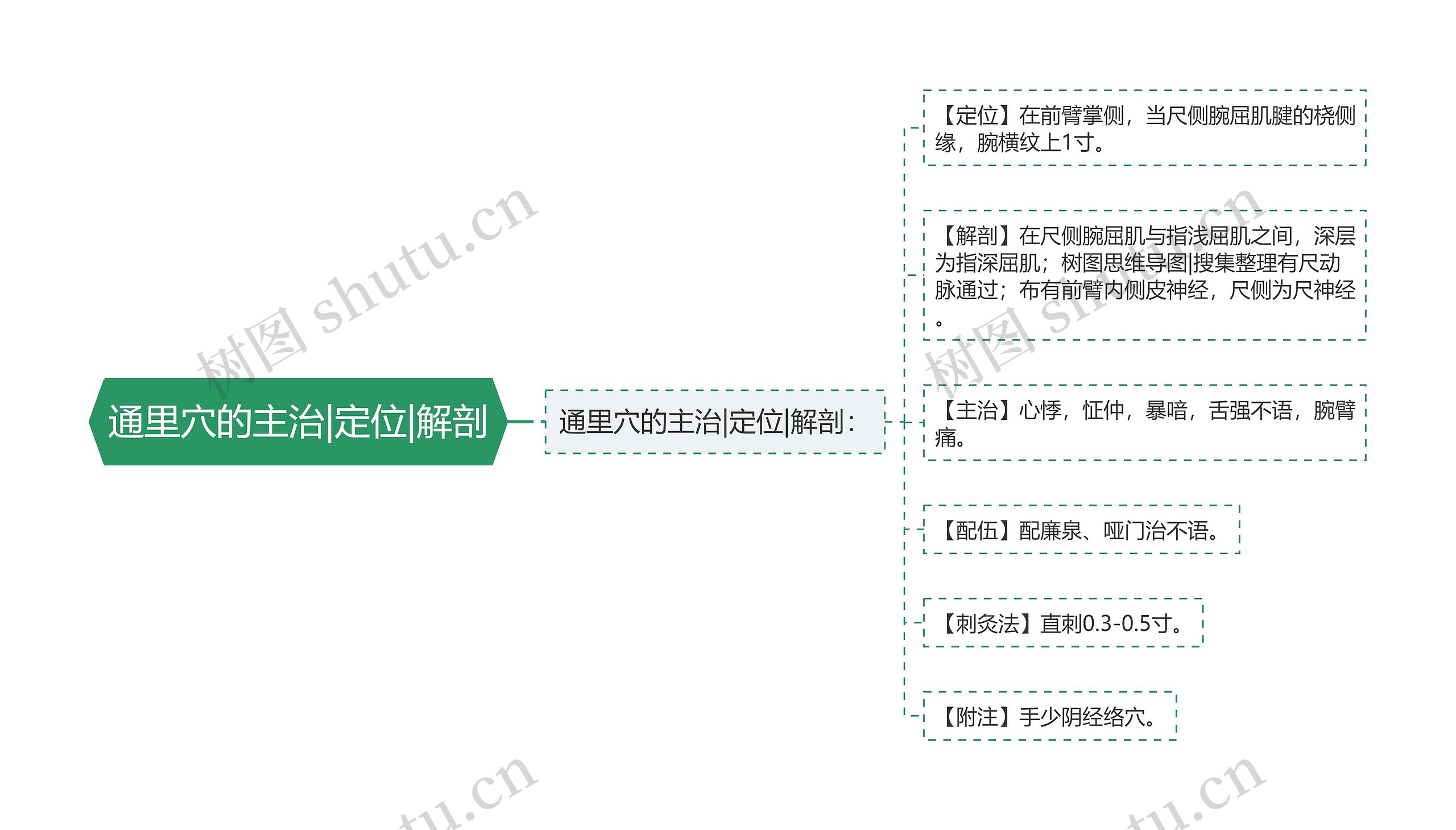 通里穴的主治|定位|解剖思维导图