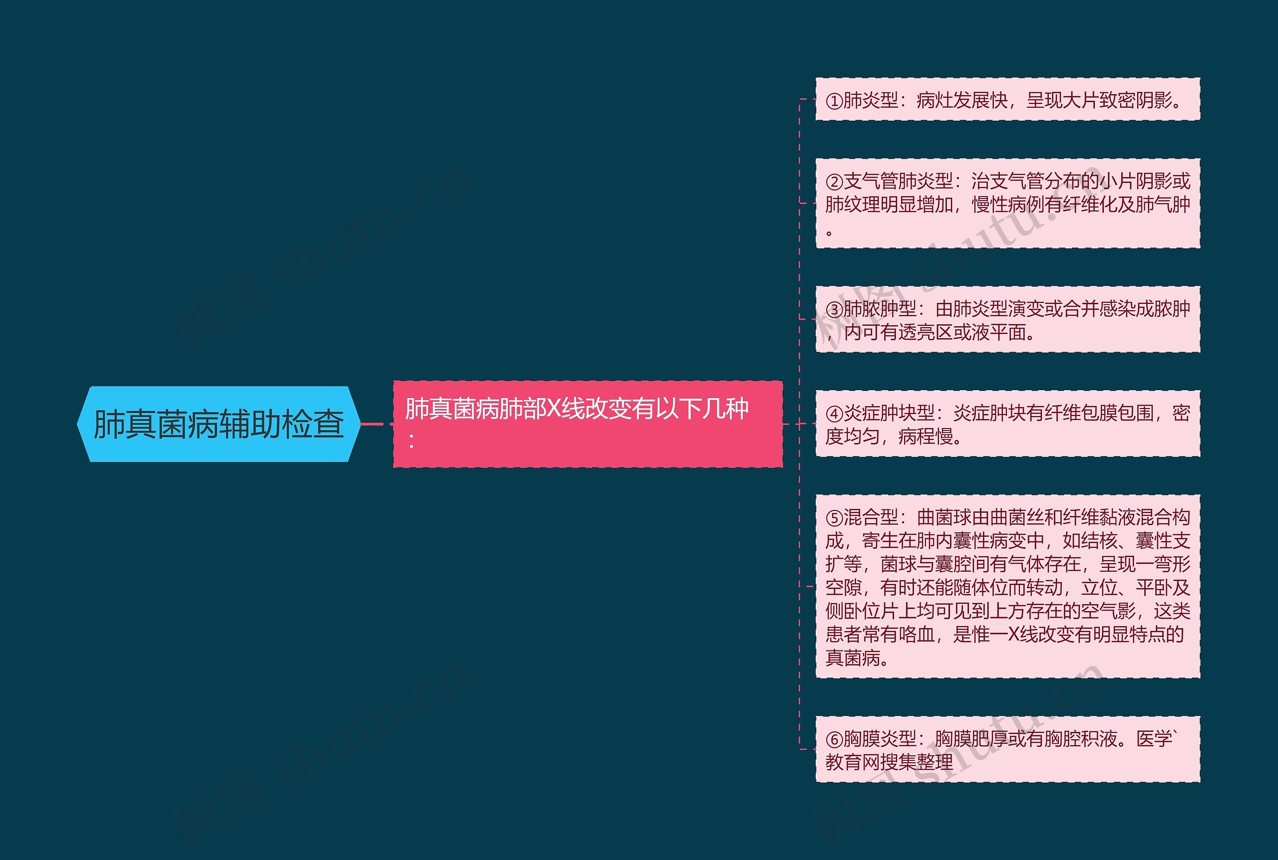 肺真菌病辅助检查思维导图