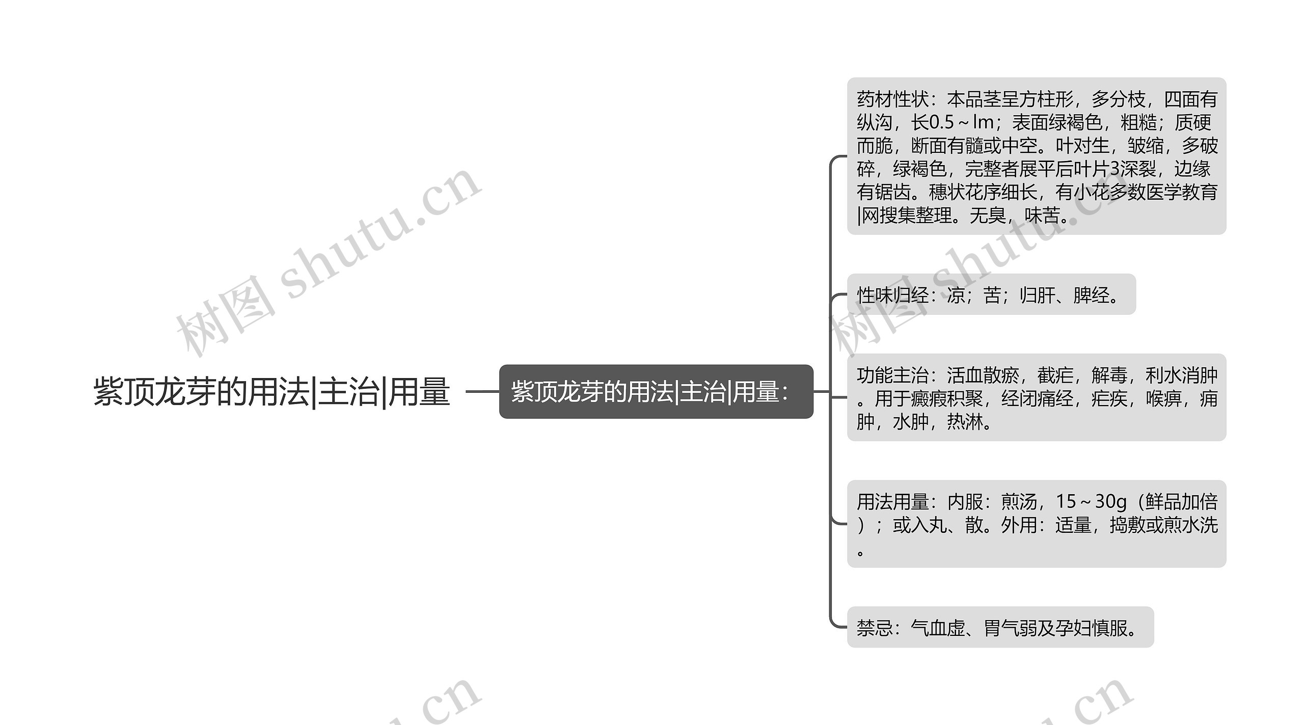 紫顶龙芽的用法|主治|用量 紫顶龙芽的用法|主治|用量