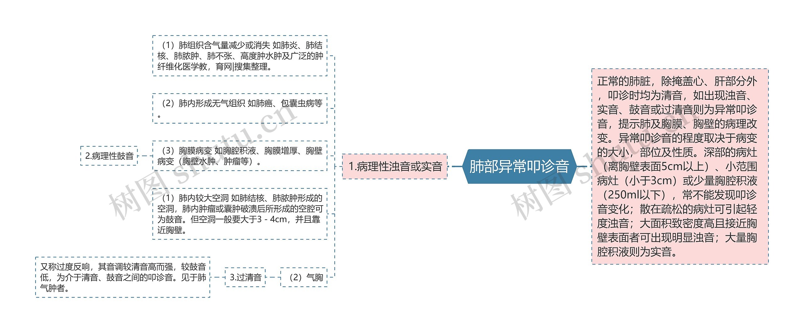 肺部异常叩诊音思维导图