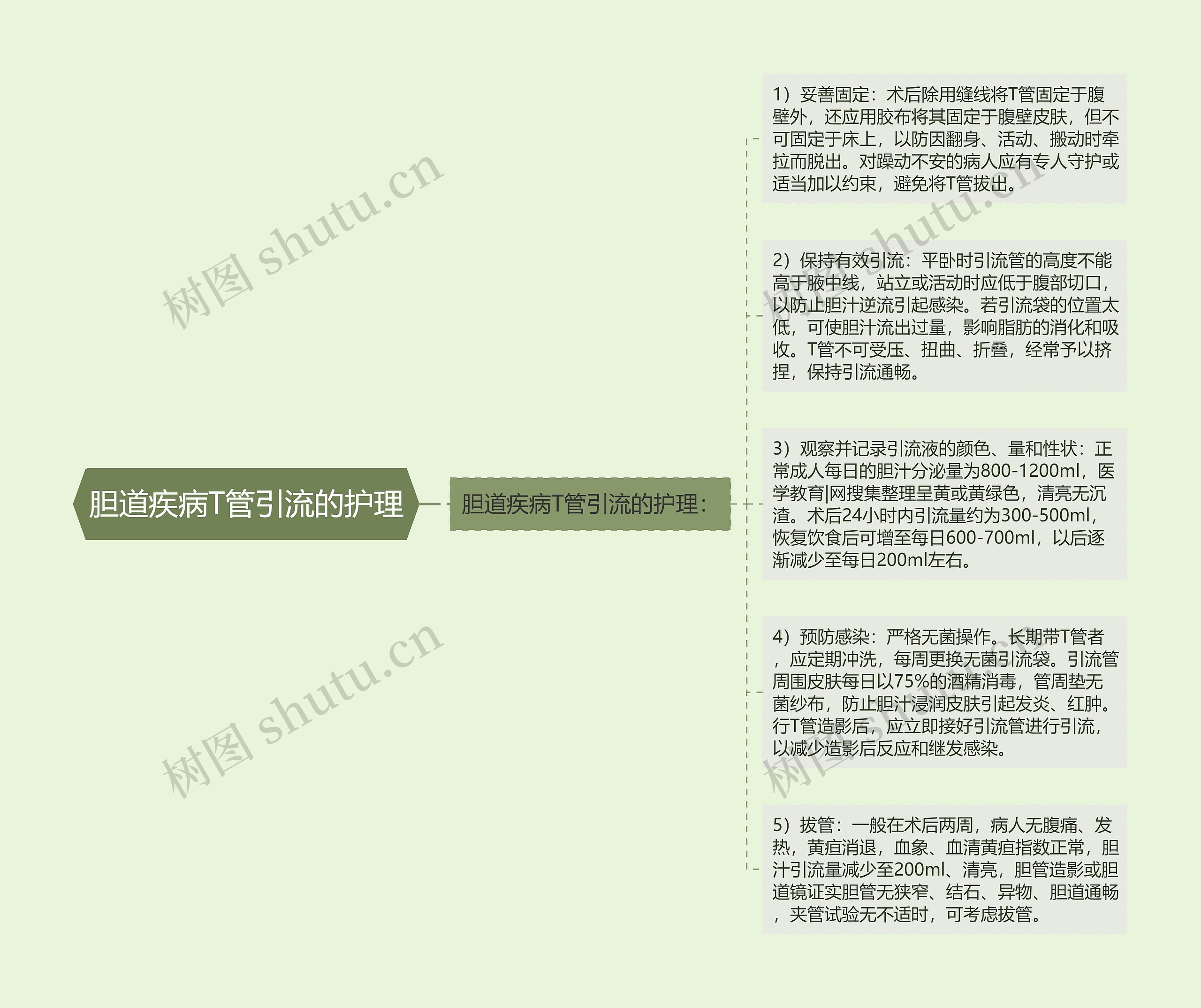 胆道疾病T管引流的护理思维导图