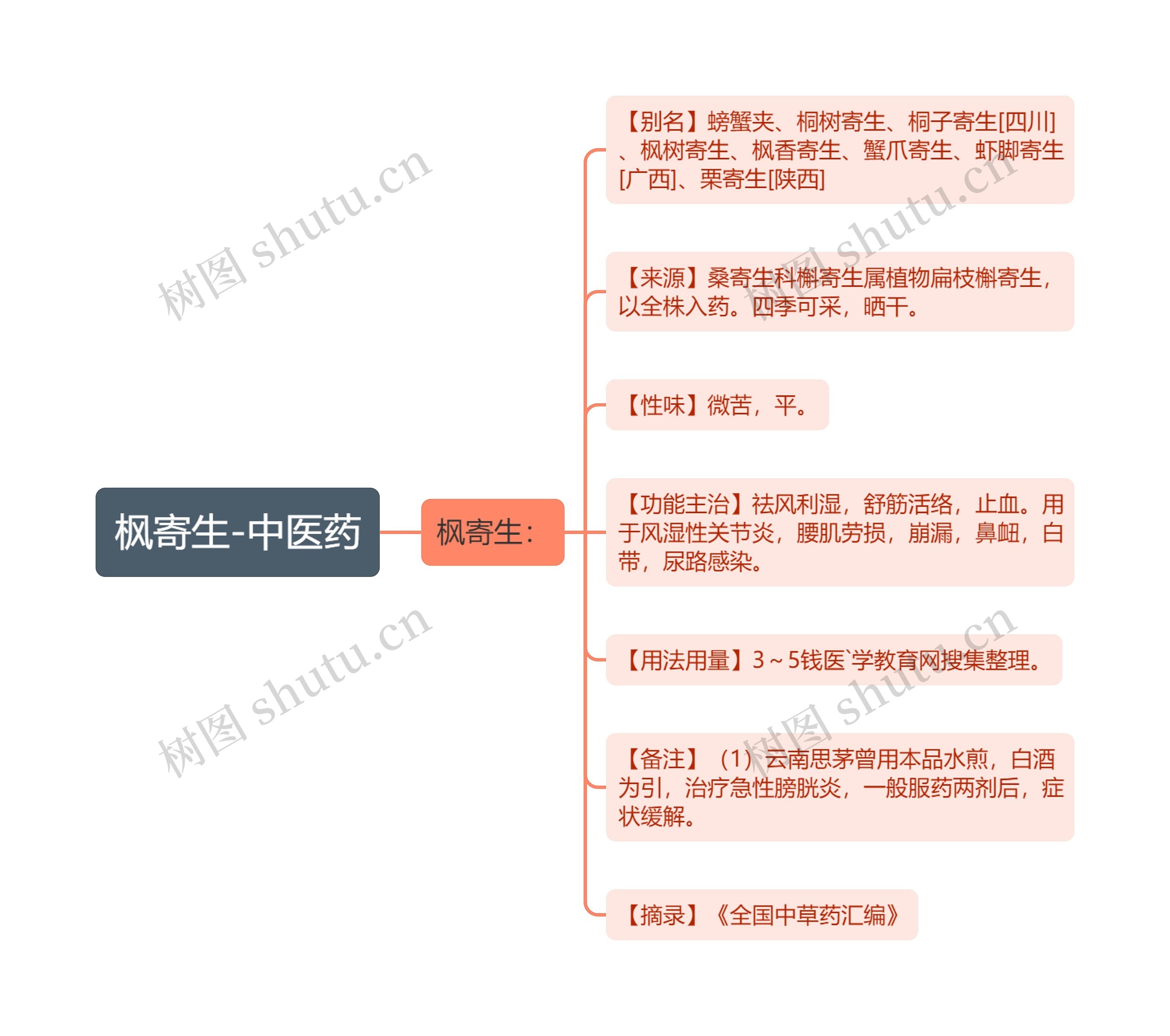 枫寄生-中医药思维导图