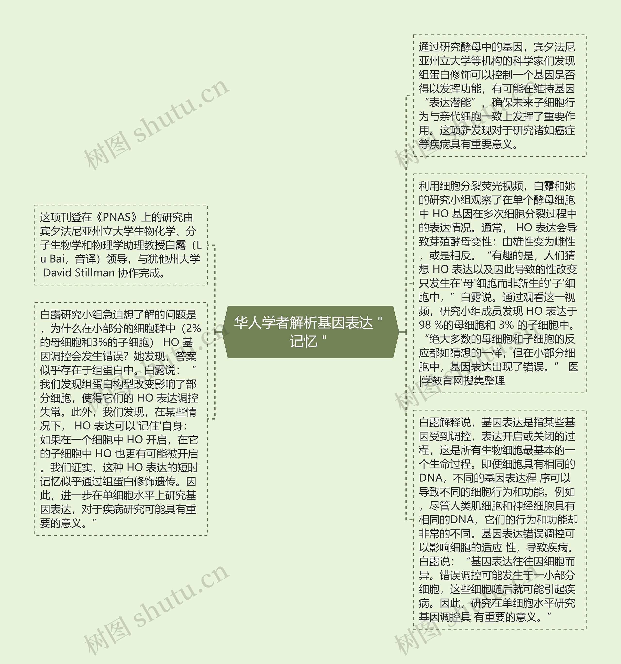 华人学者解析基因表达＂记忆＂思维导图