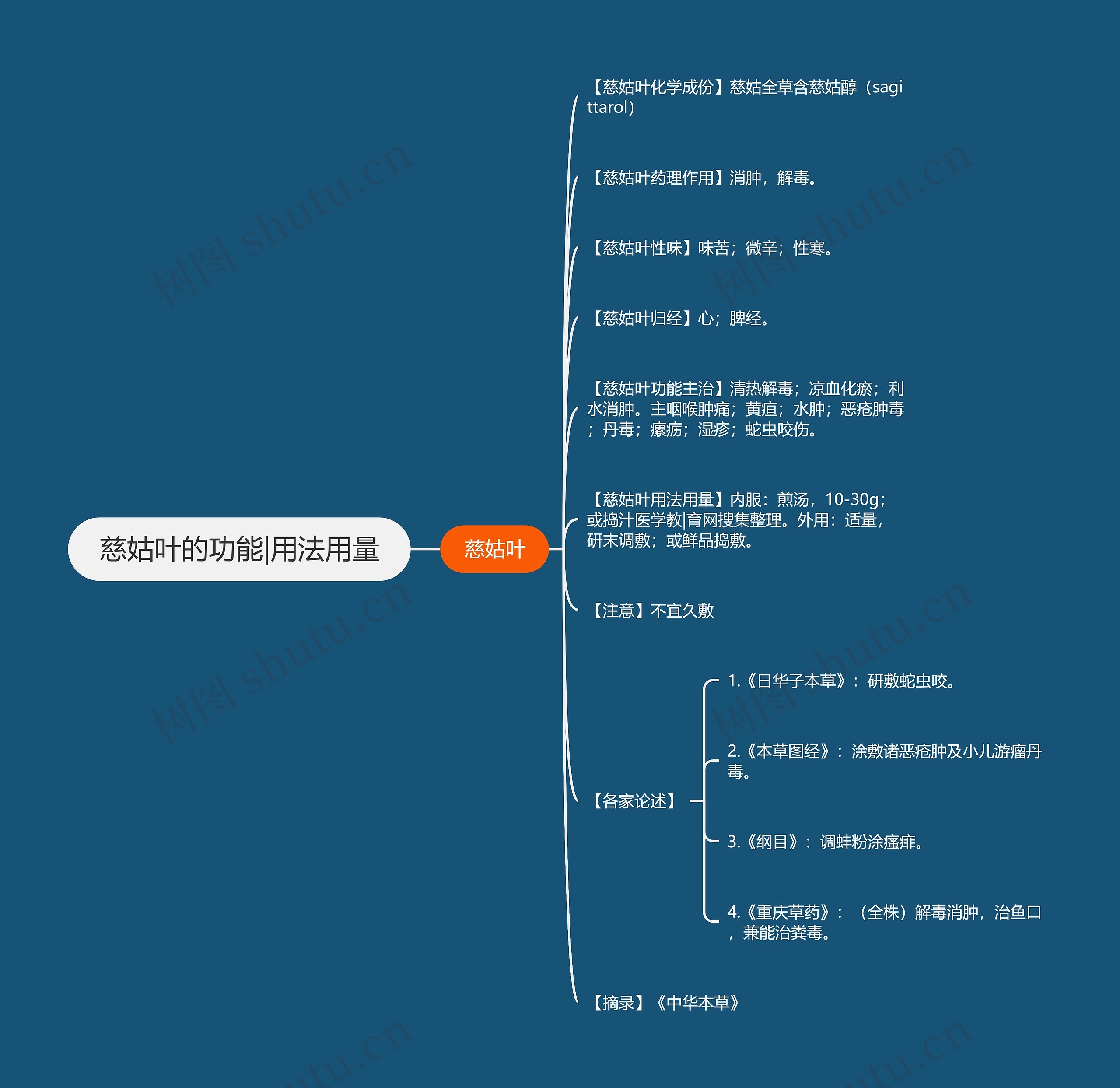 慈姑叶的功能|用法用量思维导图