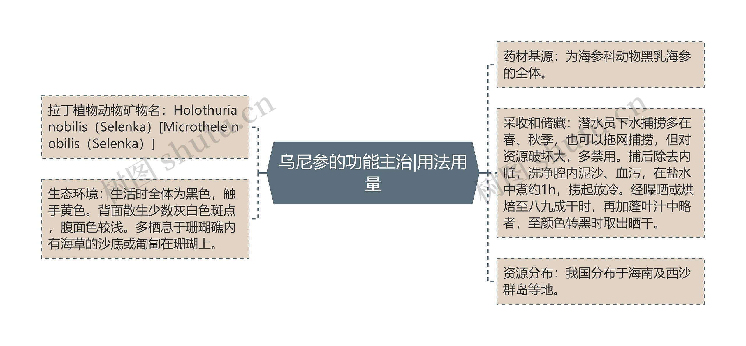 乌尼参的功能主治|用法用量思维导图