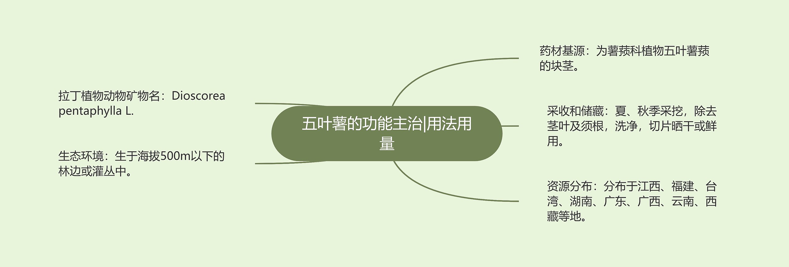 五叶薯的功能主治|用法用量 五叶薯的功能主治|用法用量