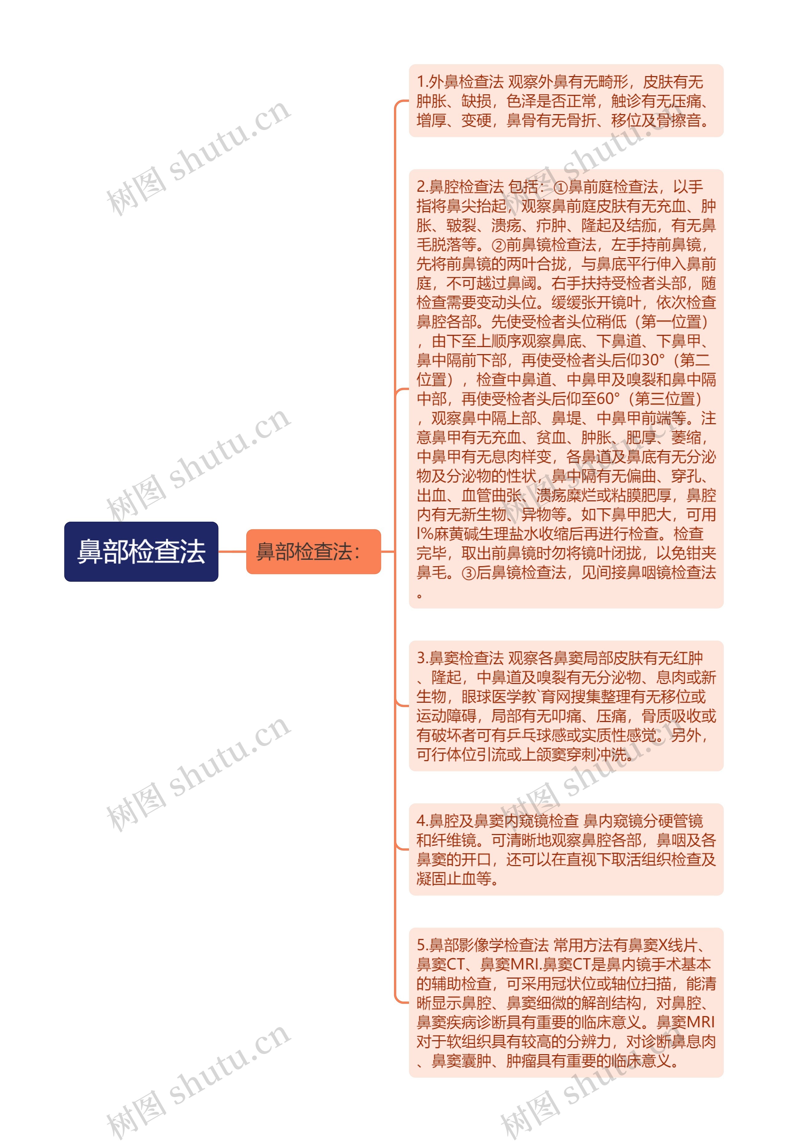 鼻部检查法思维导图