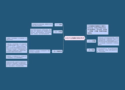 女性外生殖器的解剖特点
